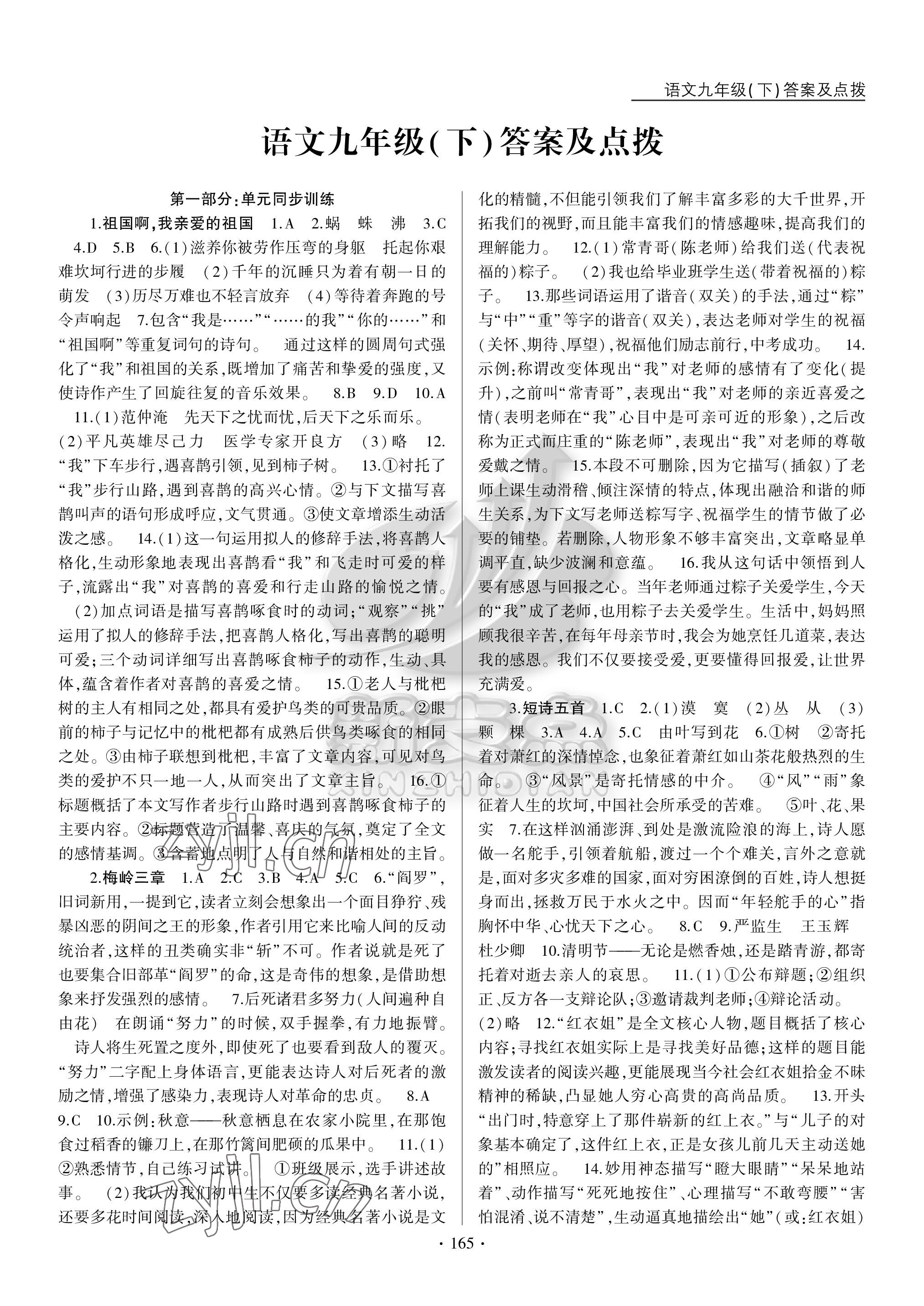 2023年新支點卓越課堂九年級語文下冊人教版 參考答案第1頁