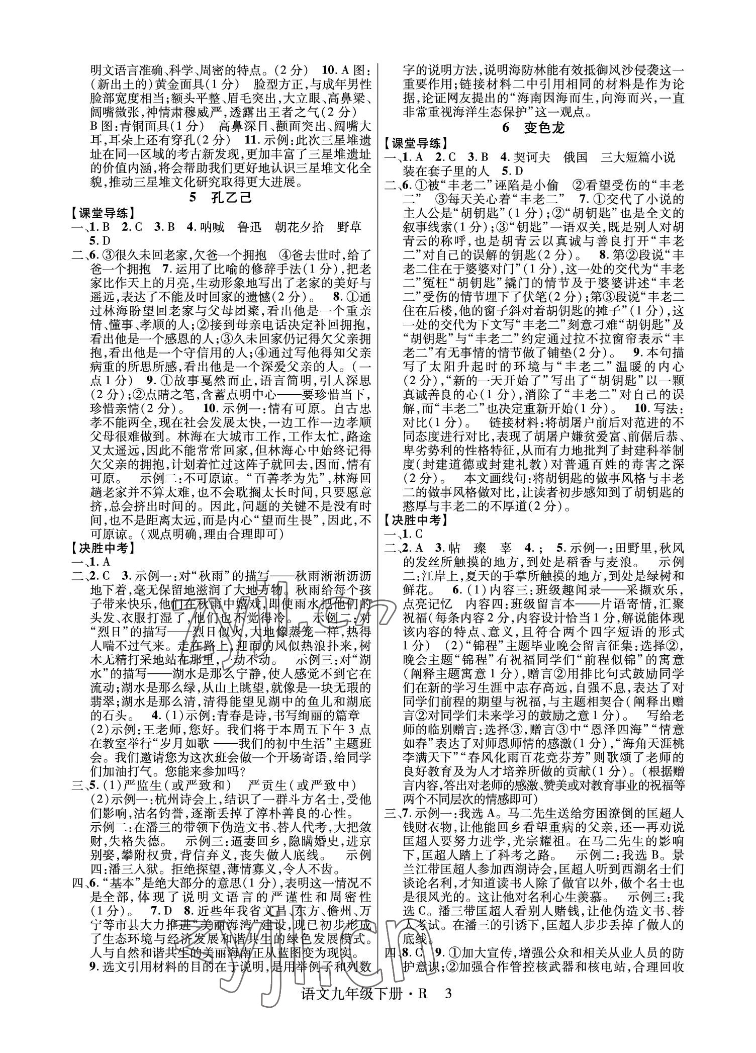 2023年高分突破课时达标讲练测九年级语文下册人教版 参考答案第3页