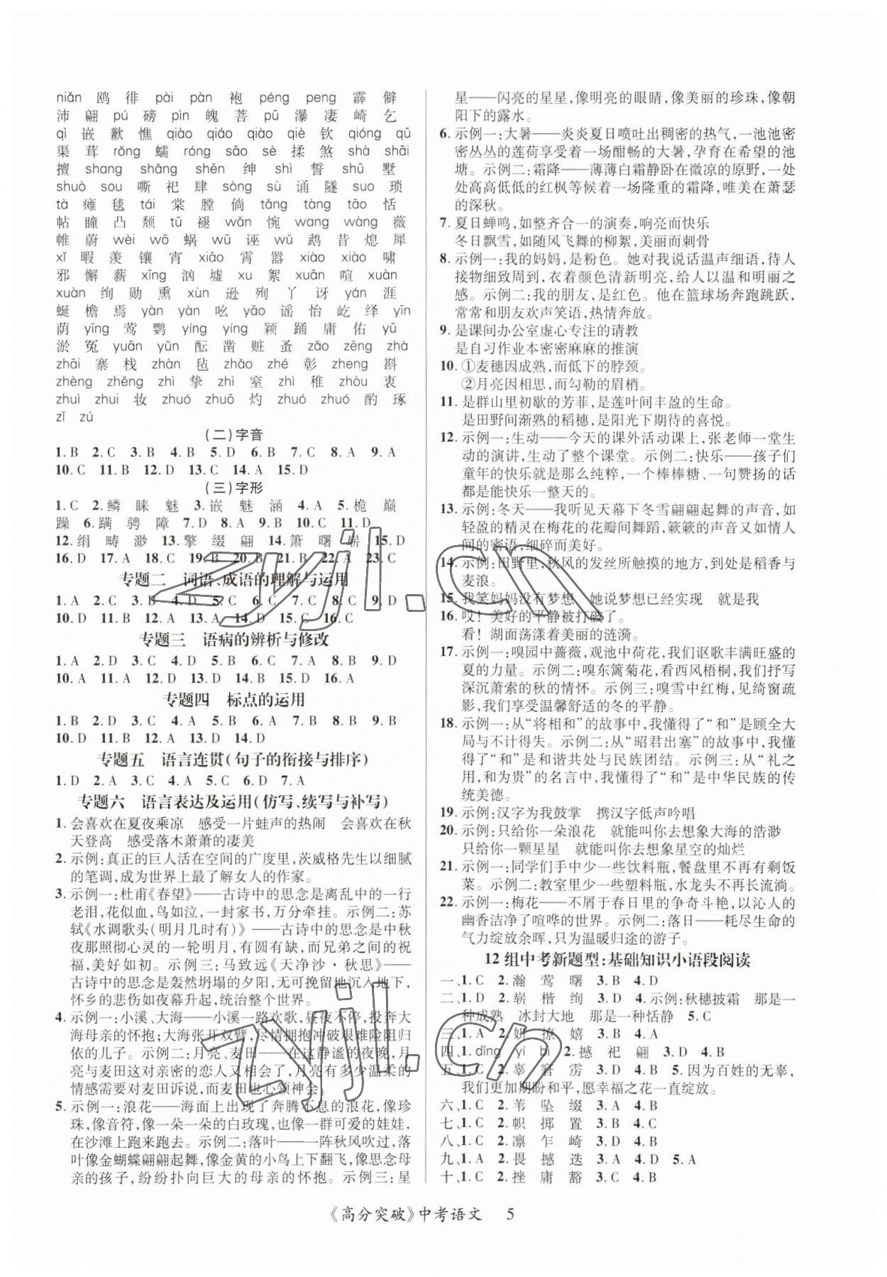 2023年高分突破中考总复习方案语文重庆专版&nbsp;第5页