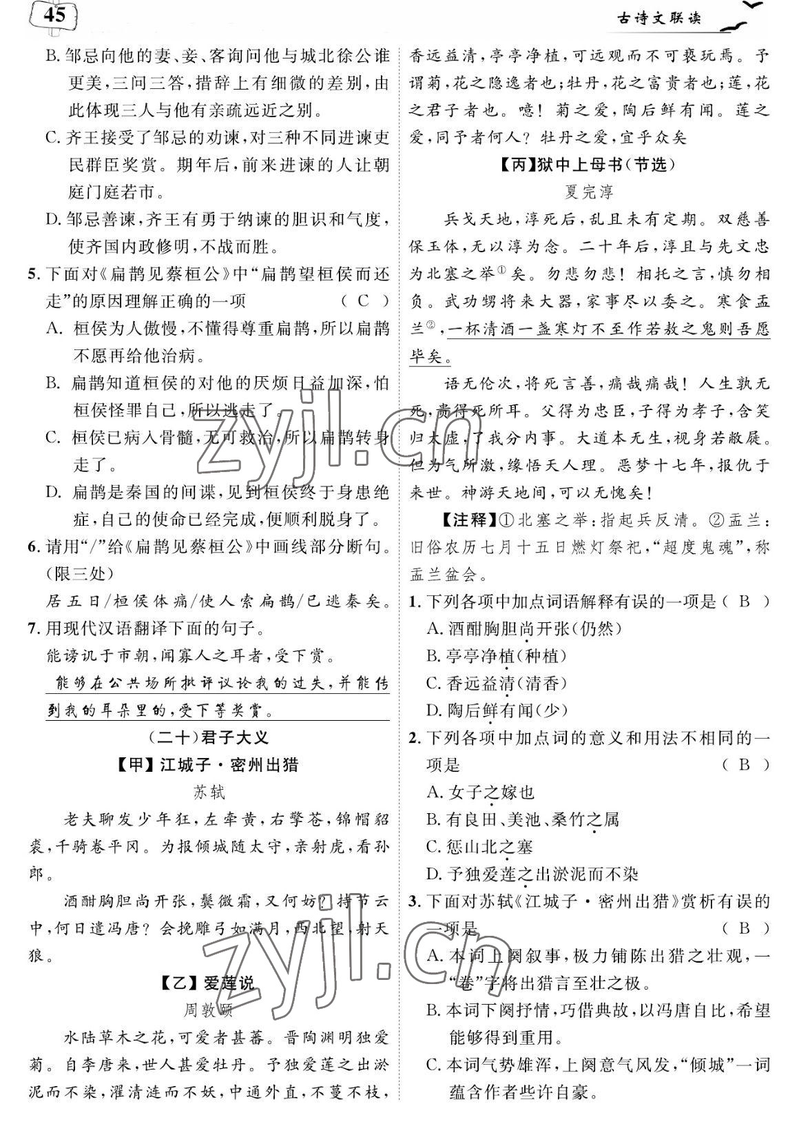 2023年荊州中考中考復(fù)習(xí)指南語(yǔ)文中考荊州專版 參考答案第45頁(yè)
