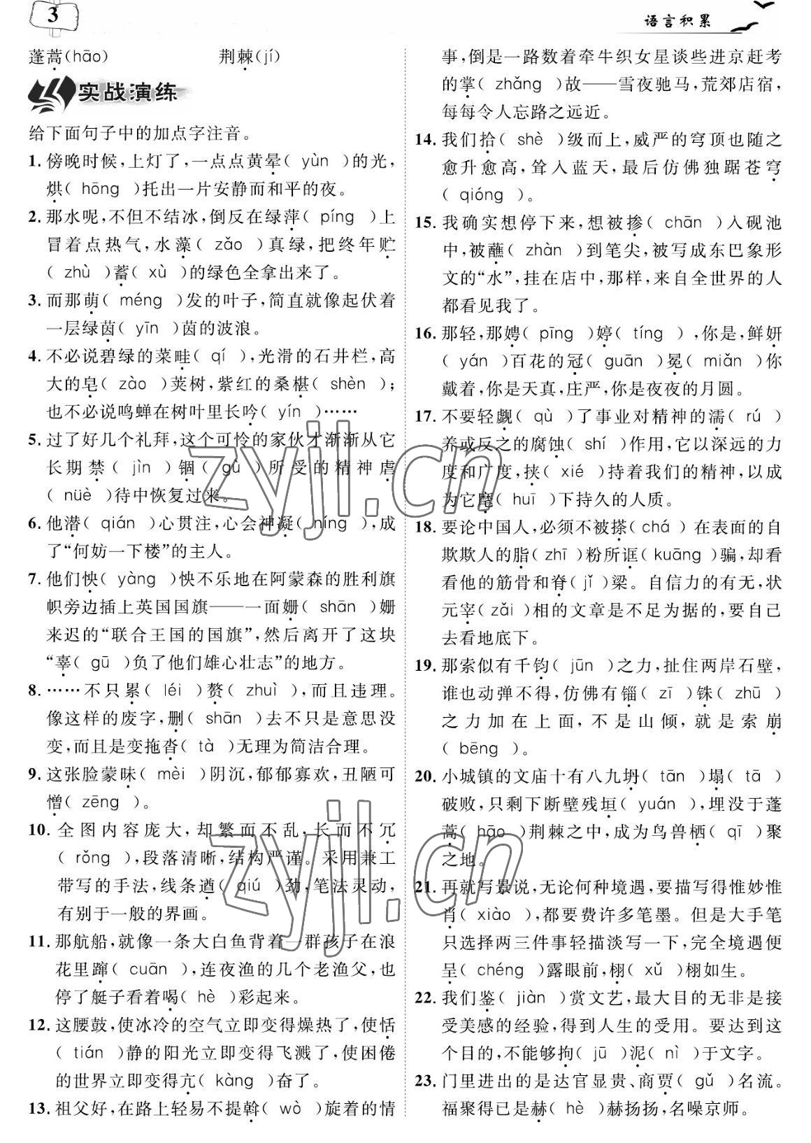 2023年荊州中考中考復習指南語文中考荊州專版 參考答案第3頁