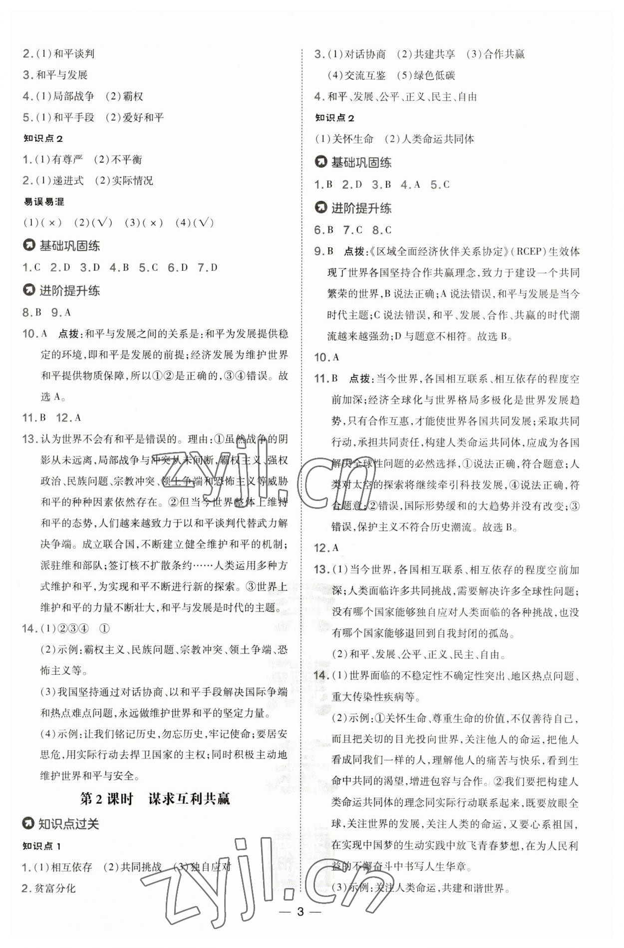 2023年點撥訓練九年級道德與法治下冊人教版 第3頁