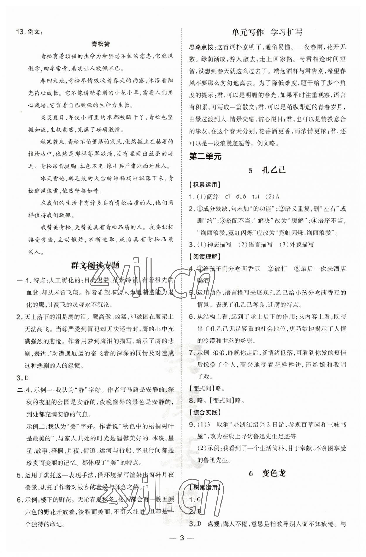 2023年點(diǎn)撥訓(xùn)練九年級(jí)語文下冊(cè)人教版 第3頁