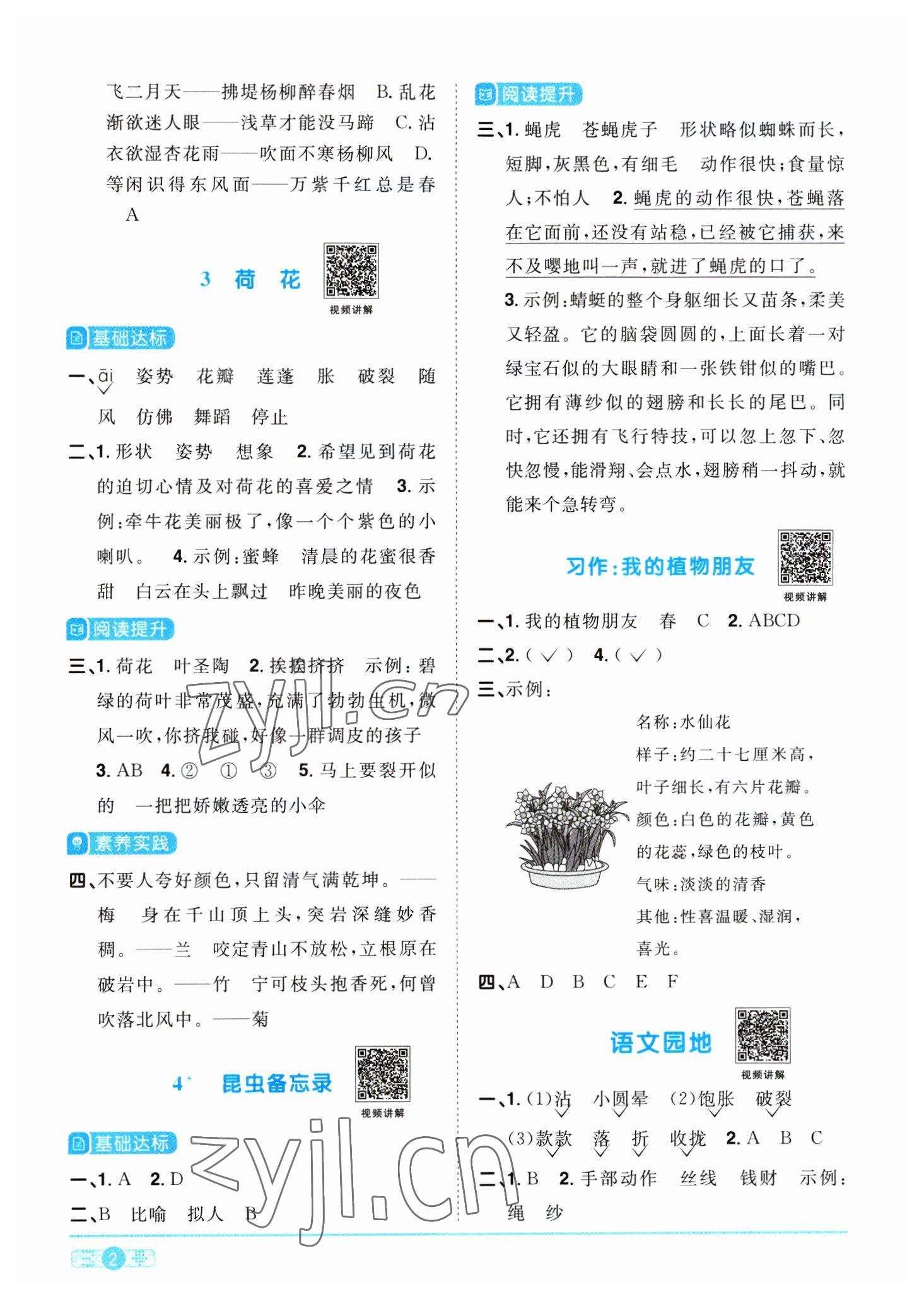 2023年阳光同学课时优化作业三年级语文下册人教版 参考答案第2页