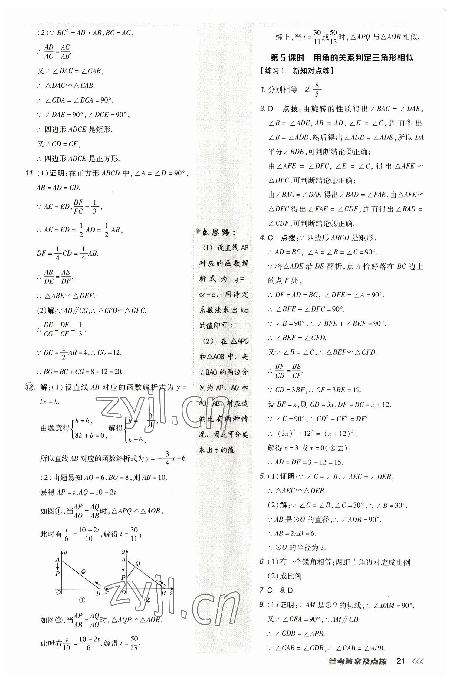 2023年點(diǎn)撥訓(xùn)練九年級(jí)數(shù)學(xué)下冊(cè)人教版 參考答案第20頁(yè)