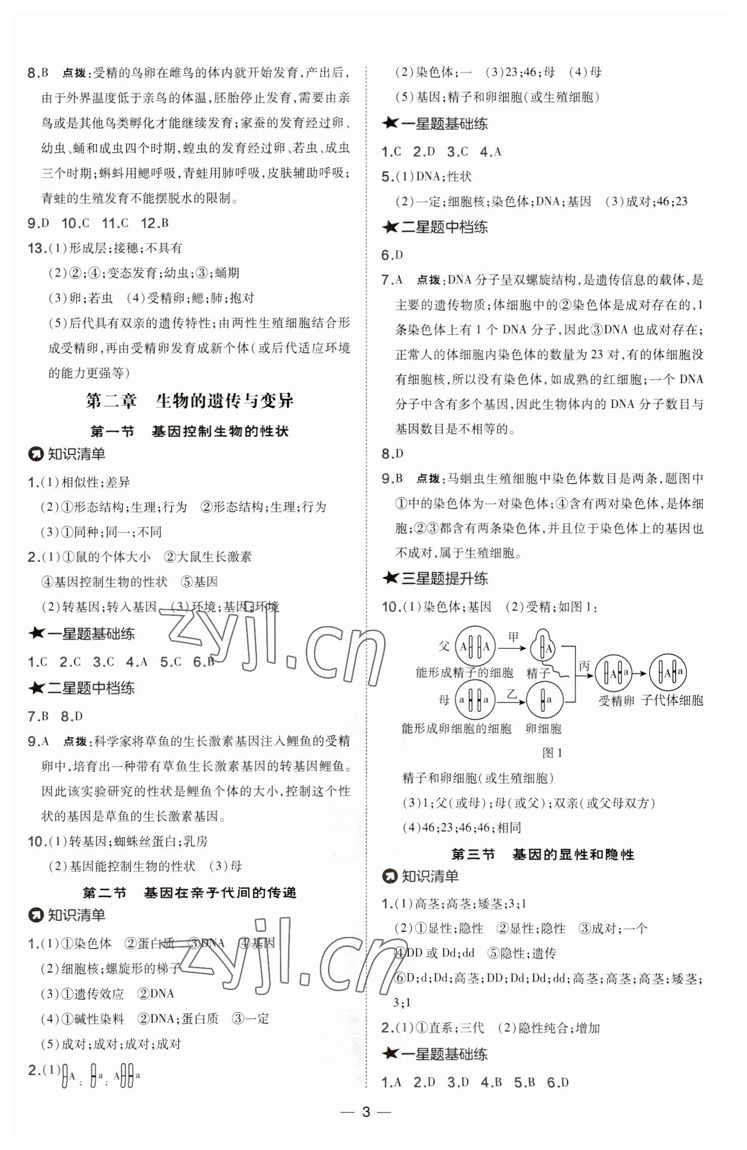 2023年點撥訓(xùn)練八年級生物下冊人教版 參考答案第3頁