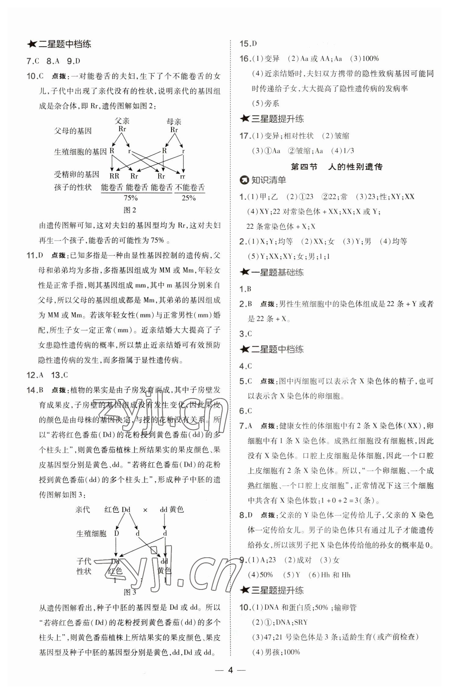 2023年点拨训练八年级生物下册人教版 参考答案第4页