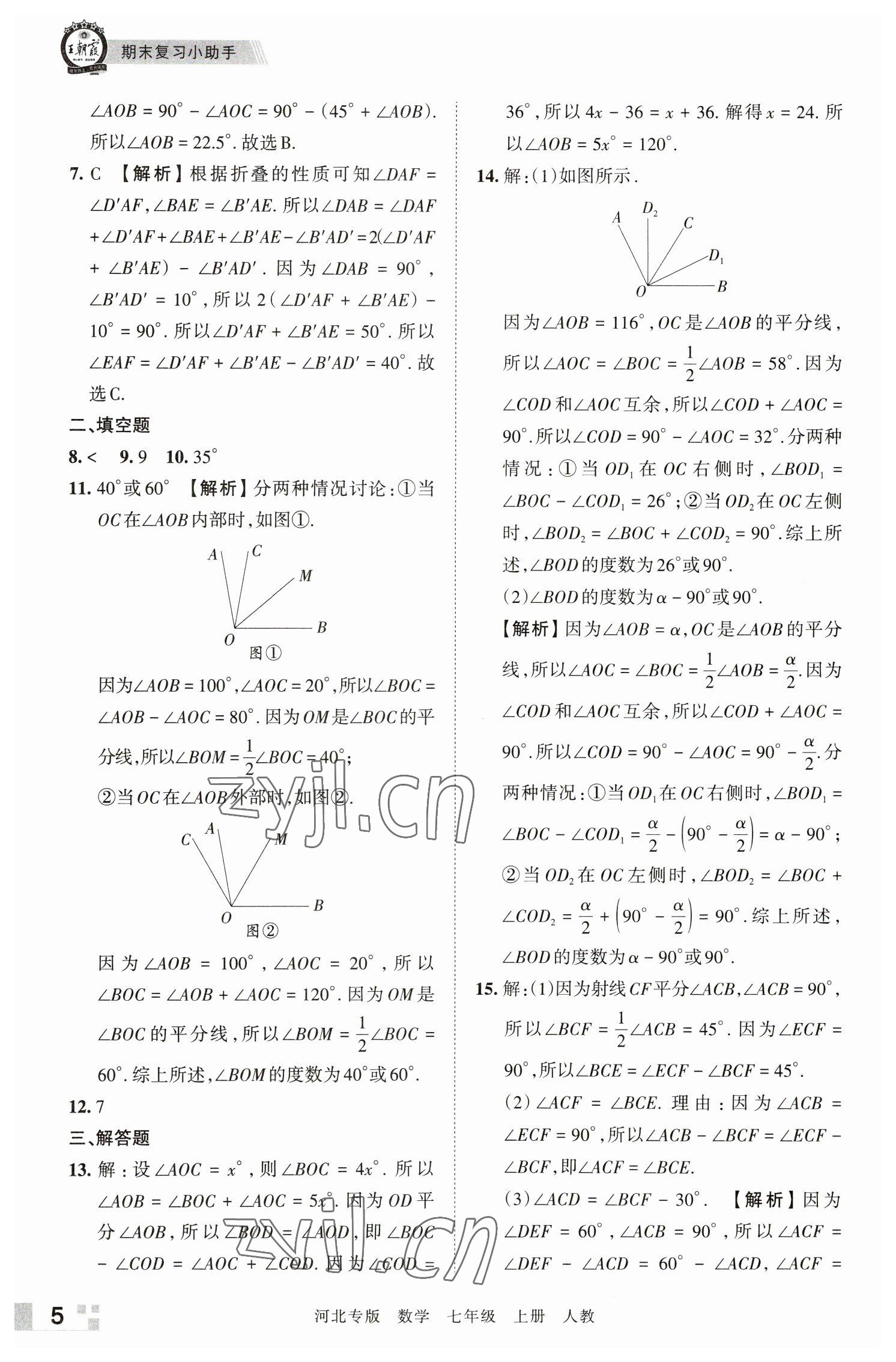 2022年王朝霞各地期末试卷精选七年级数学上册人教版河北专版 参考答案第5页