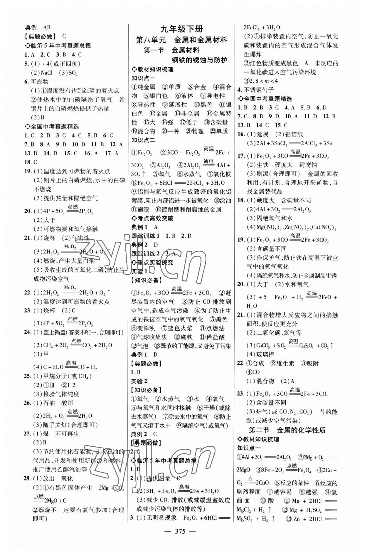 2023年全程导航初中总复习化学临沂专版 参考答案第6页