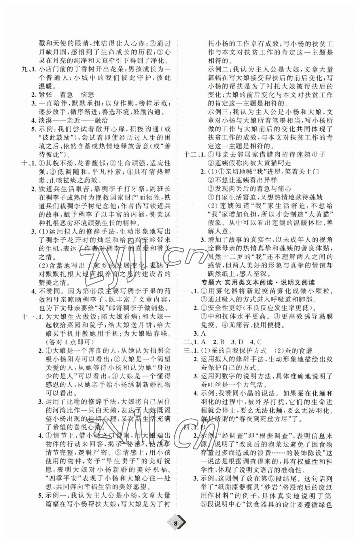 2023年优加学案赢在中考语文 参考答案第8页