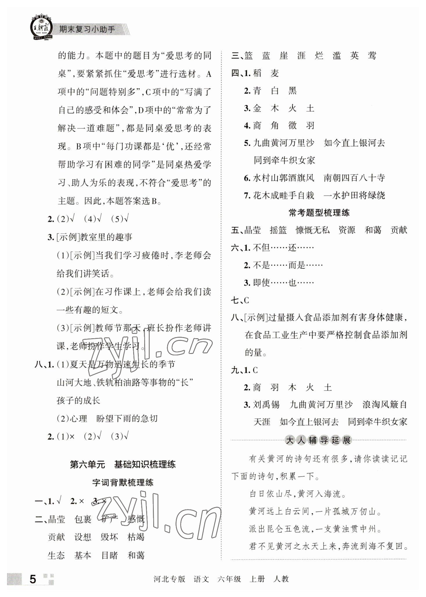 2022年王朝霞各地期末试卷精选六年级语文上册人教版河北专版 参考答案第5页