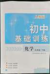 2023年初中基礎訓練九年級化學下冊人教版山東教育出版社