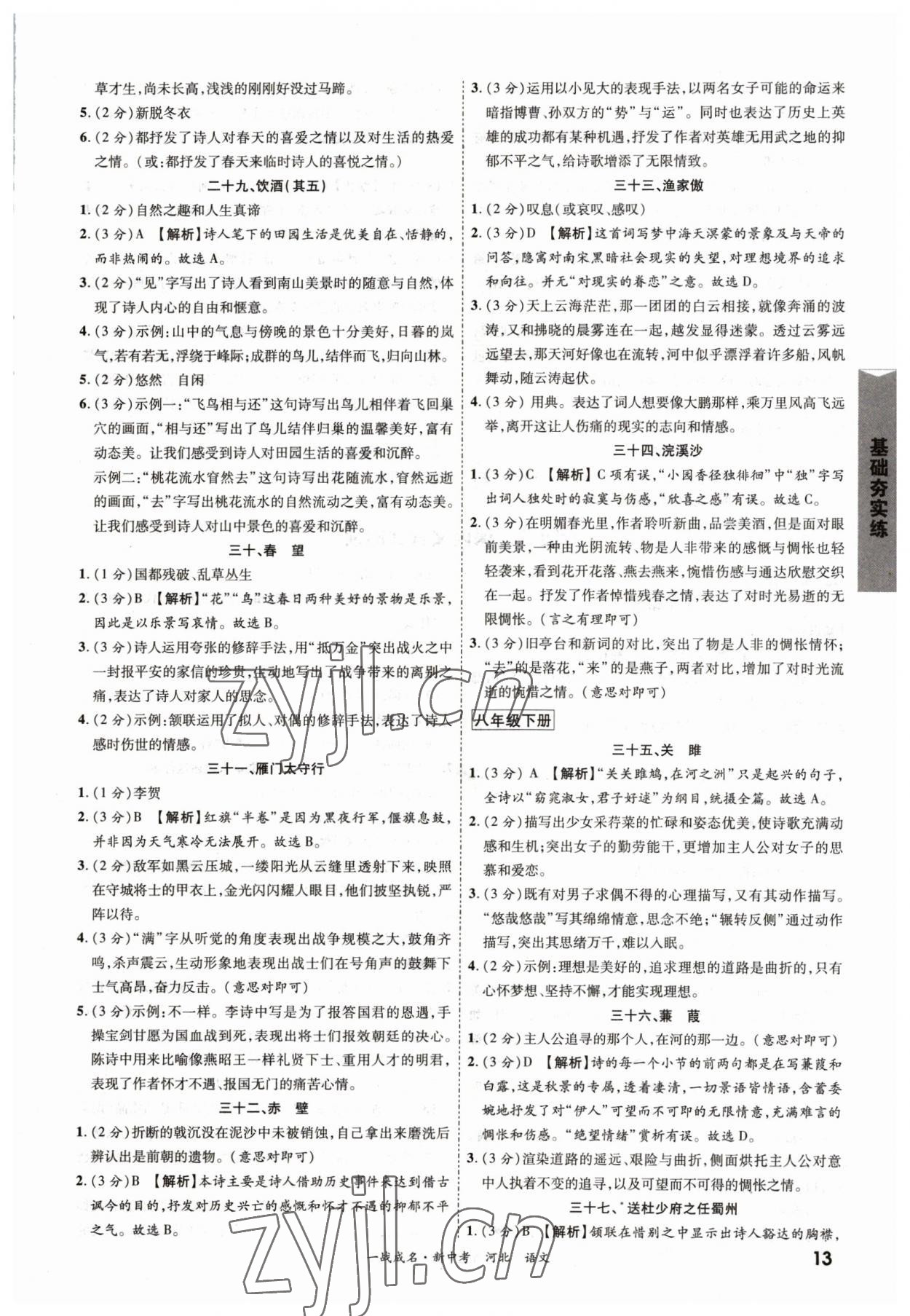 2023年一战成名考前新方案语文河北中考 第13页