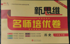 2023年新思維名師培優(yōu)卷八年級(jí)歷史下冊(cè)人教版