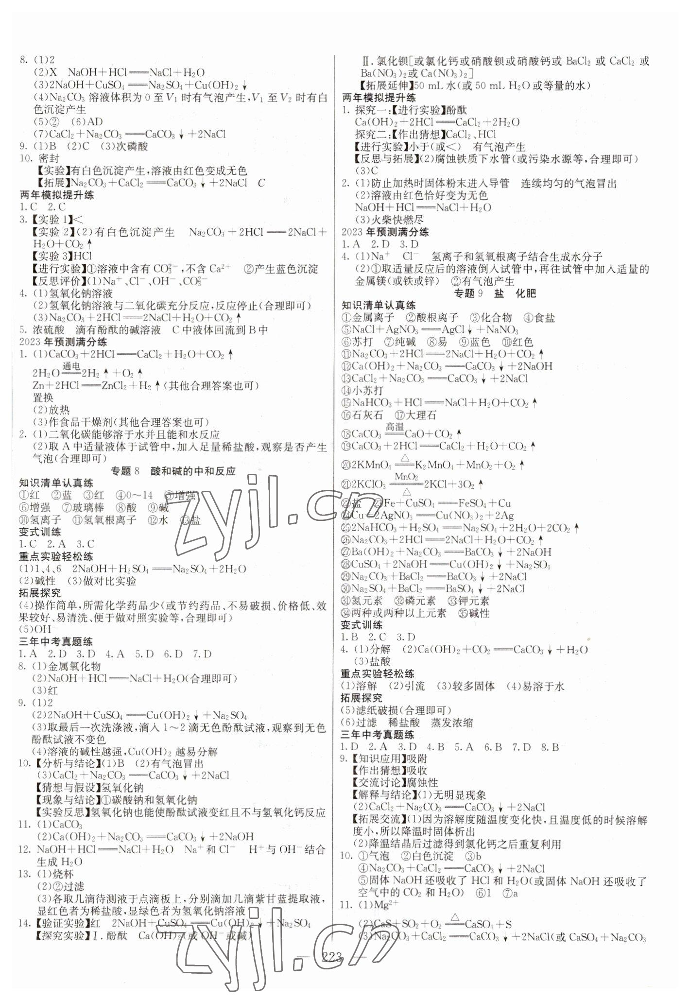 2023年中考調(diào)研中考考點完全解讀化學(xué) 第5頁
