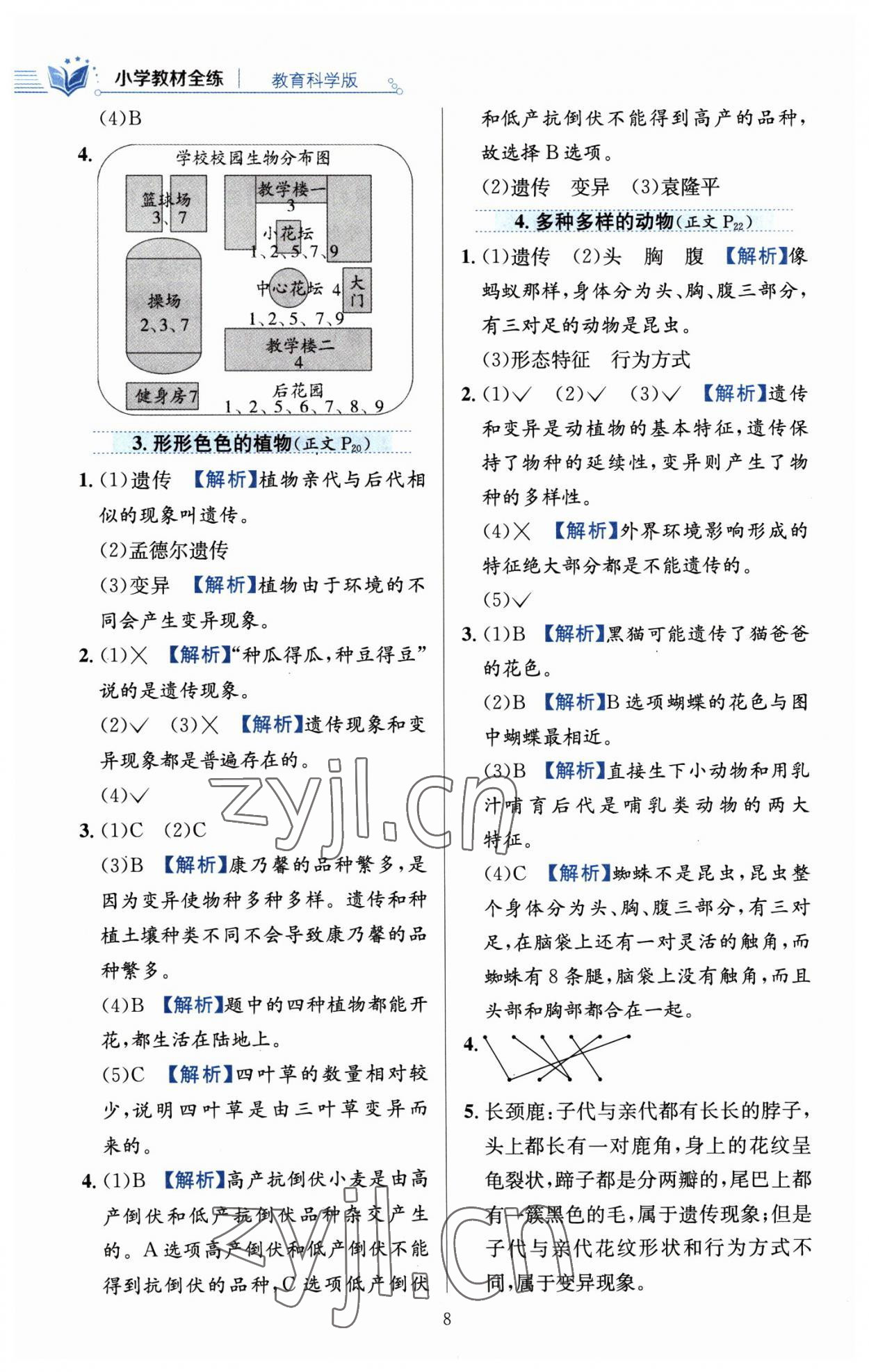 2023年教材全練六年級(jí)科學(xué)下冊(cè)教科版 參考答案第8頁