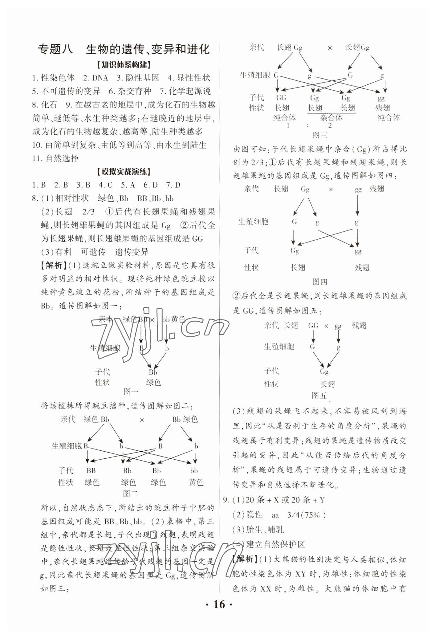 2023年中考对策生物 参考答案第16页