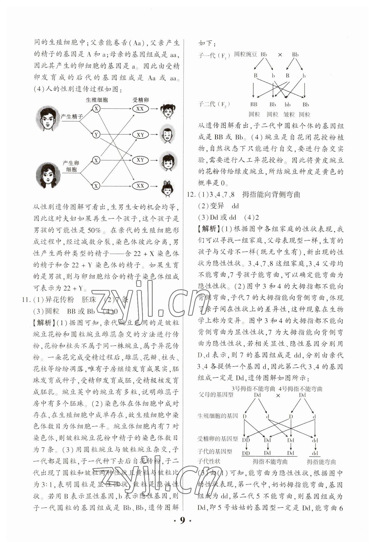 2023年中考对策生物 参考答案第9页