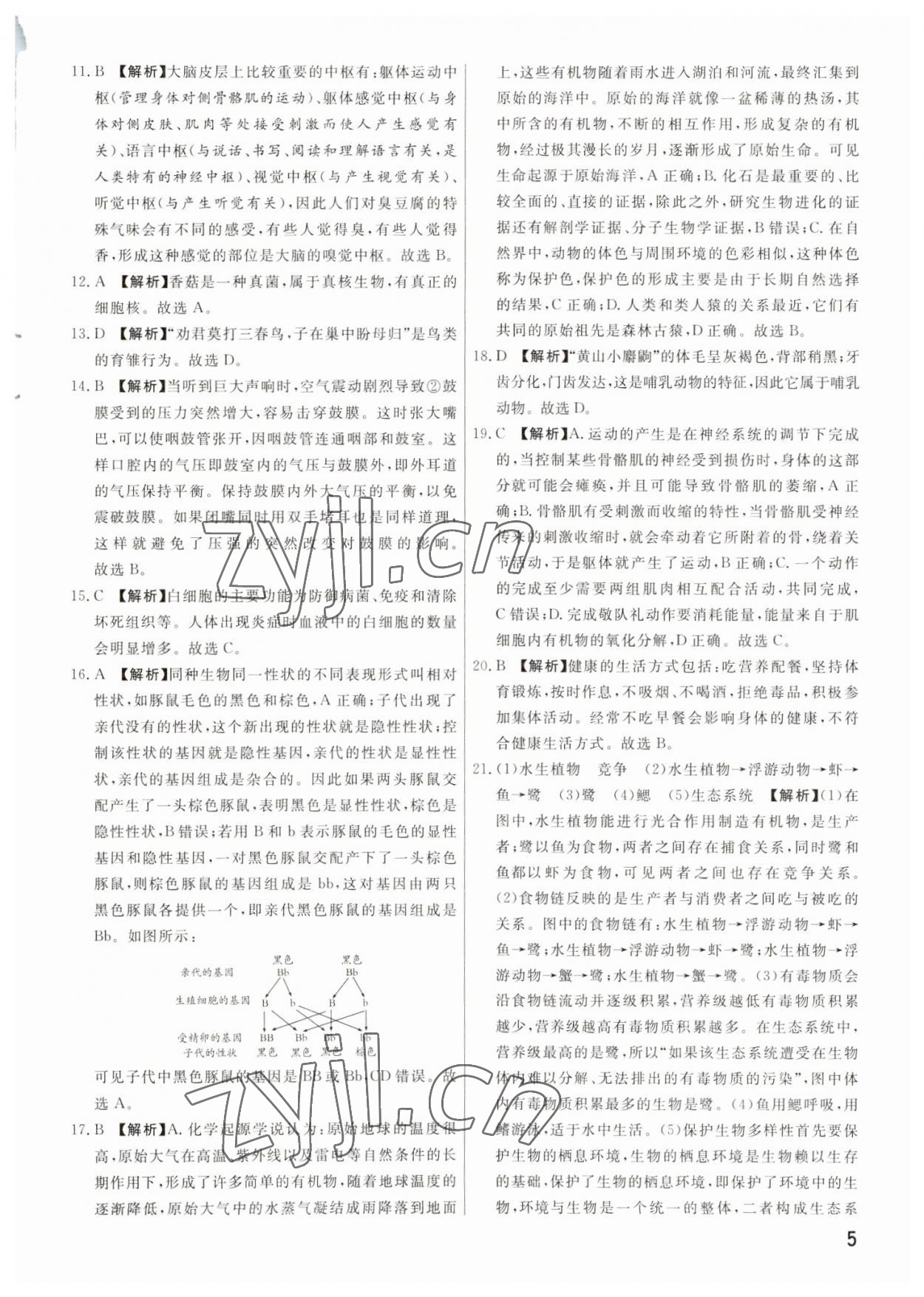 2023年新一線必刷卷生物河南專版 參考答案第5頁