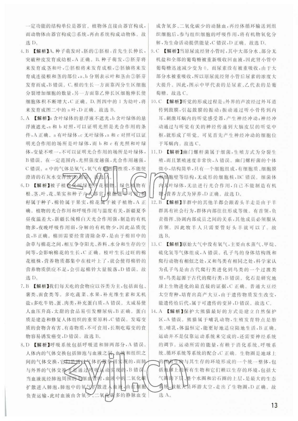 2023年新一線必刷卷生物河南專版 參考答案第13頁