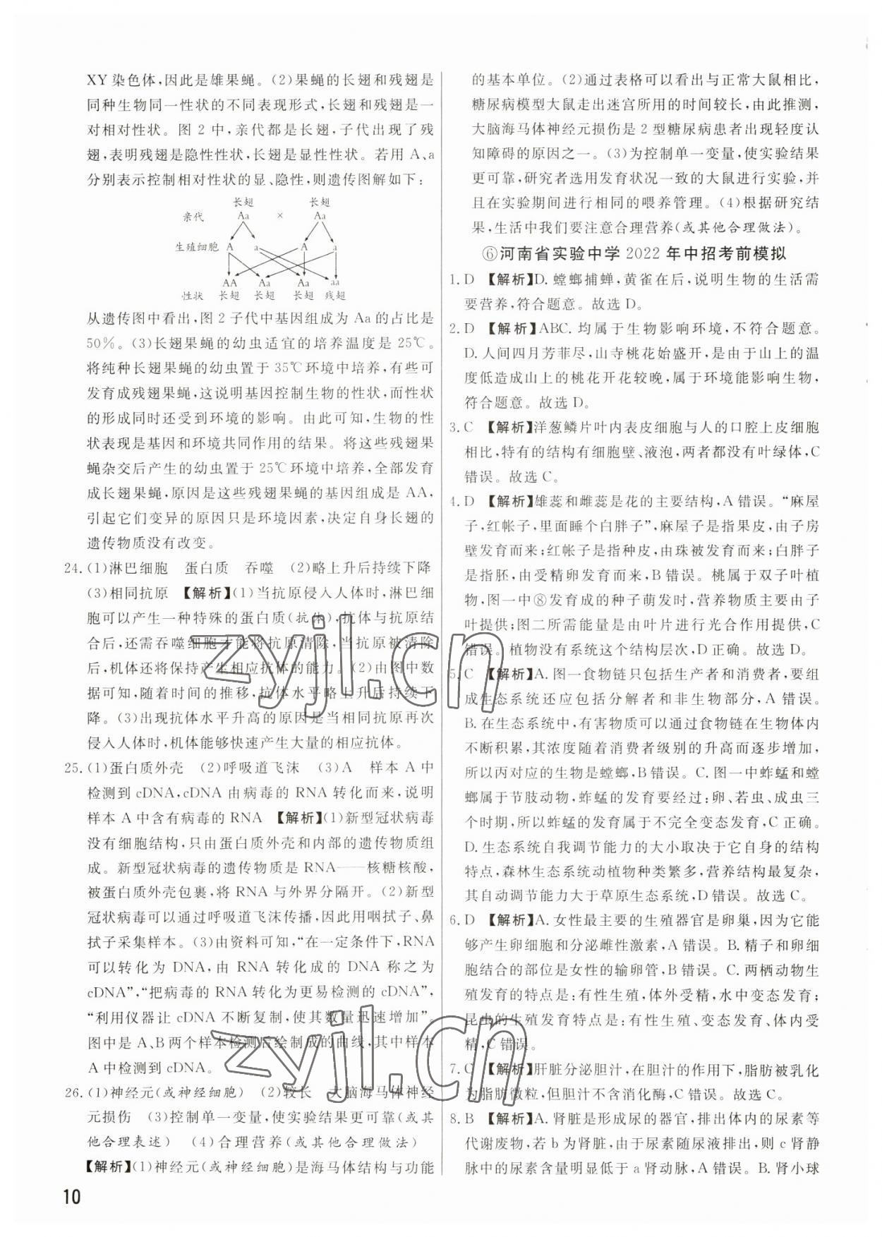 2023年新一線必刷卷生物河南專版 參考答案第10頁