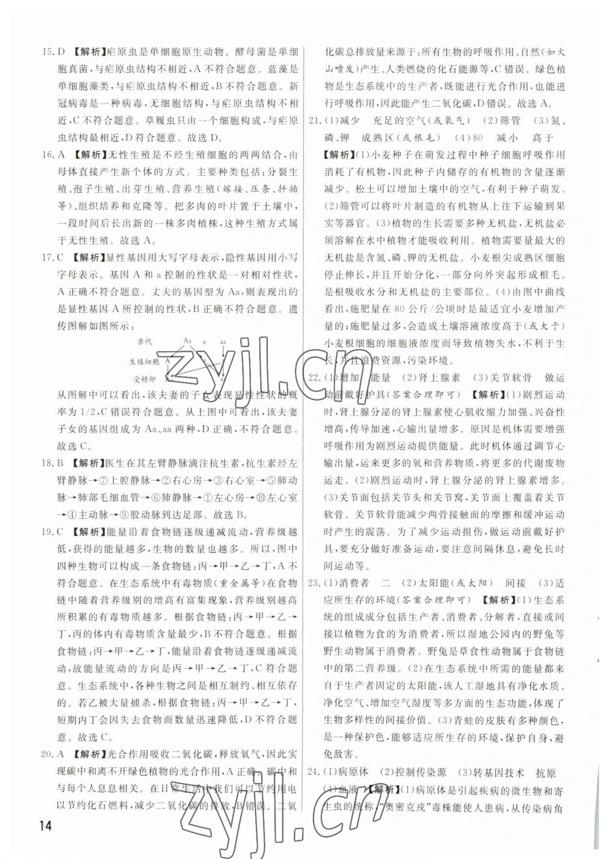 2023年新一線必刷卷生物河南專版 參考答案第14頁(yè)