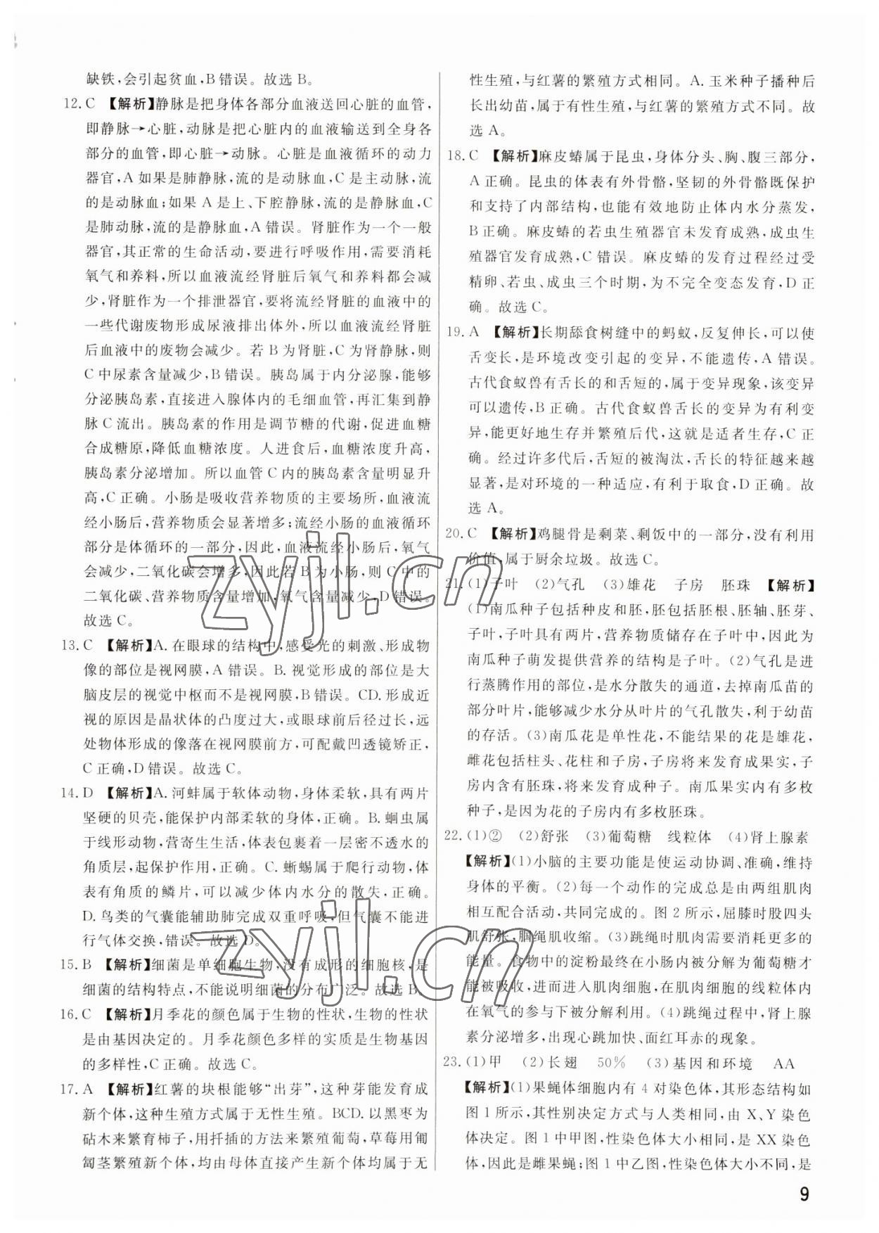 2023年新一線必刷卷生物河南專版 參考答案第9頁