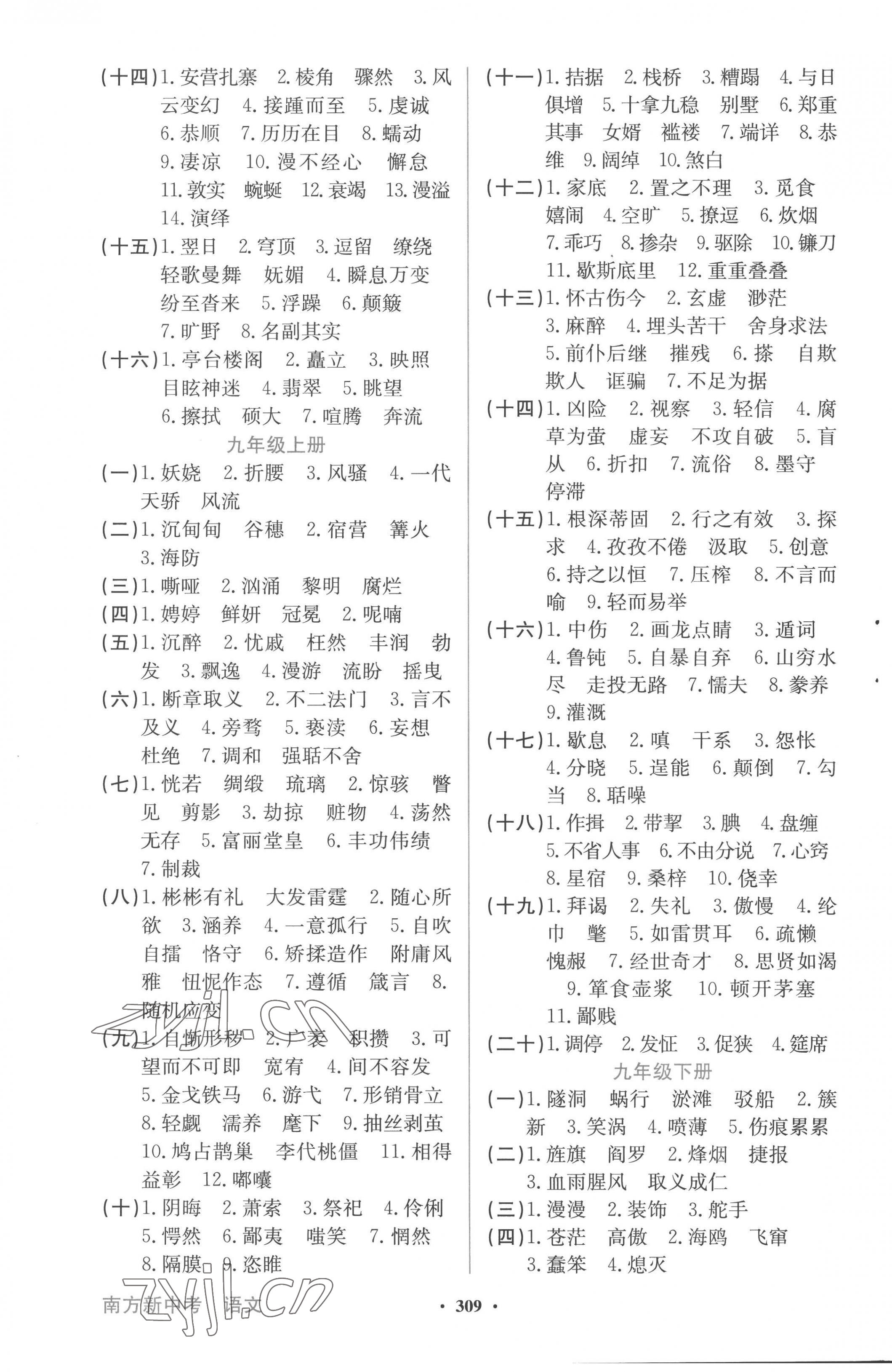 2023年南方新中考語文 第11頁