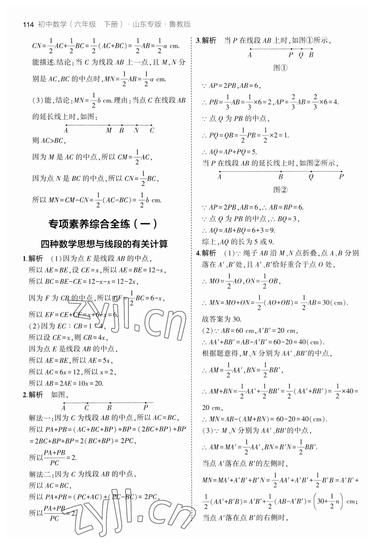 2023年5年中考3年模擬六年級數(shù)學下冊魯教版山東專版54制 參考答案第4頁