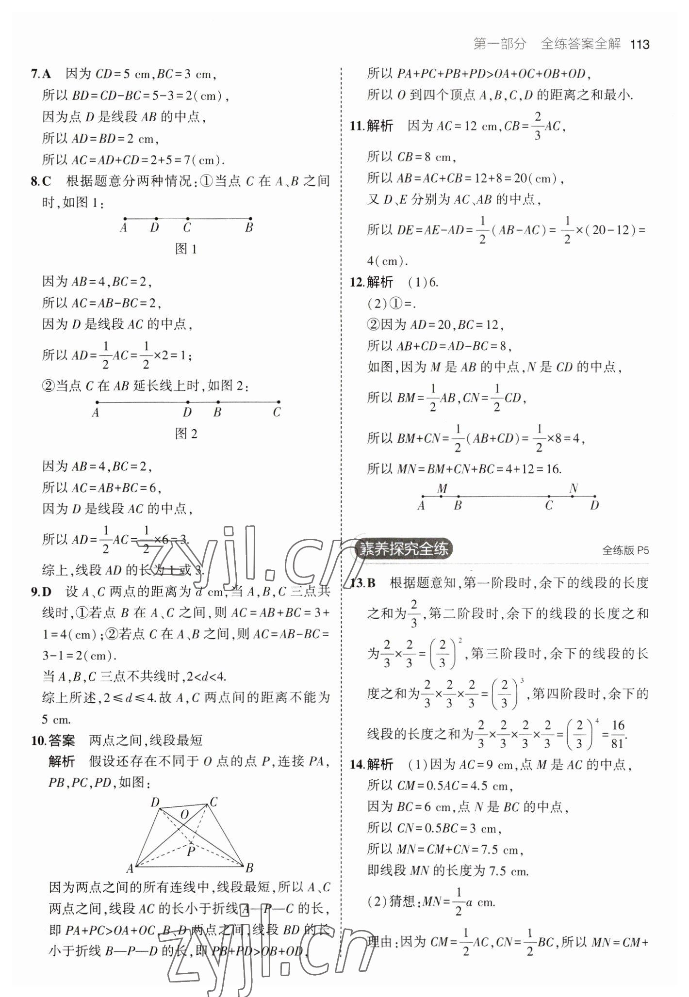 2023年5年中考3年模拟六年级数学下册鲁教版山东专版54制 参考答案第3页