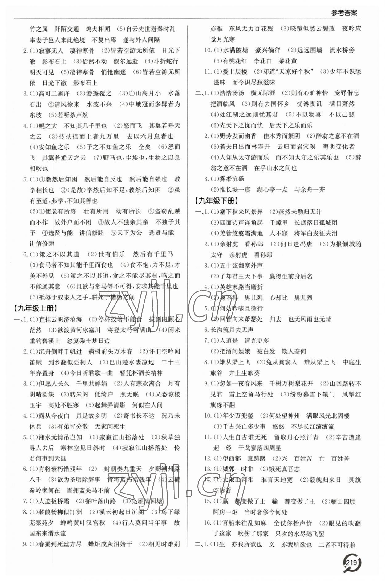 2023年初中總復(fù)習手冊青島出版社語文 參考答案第4頁