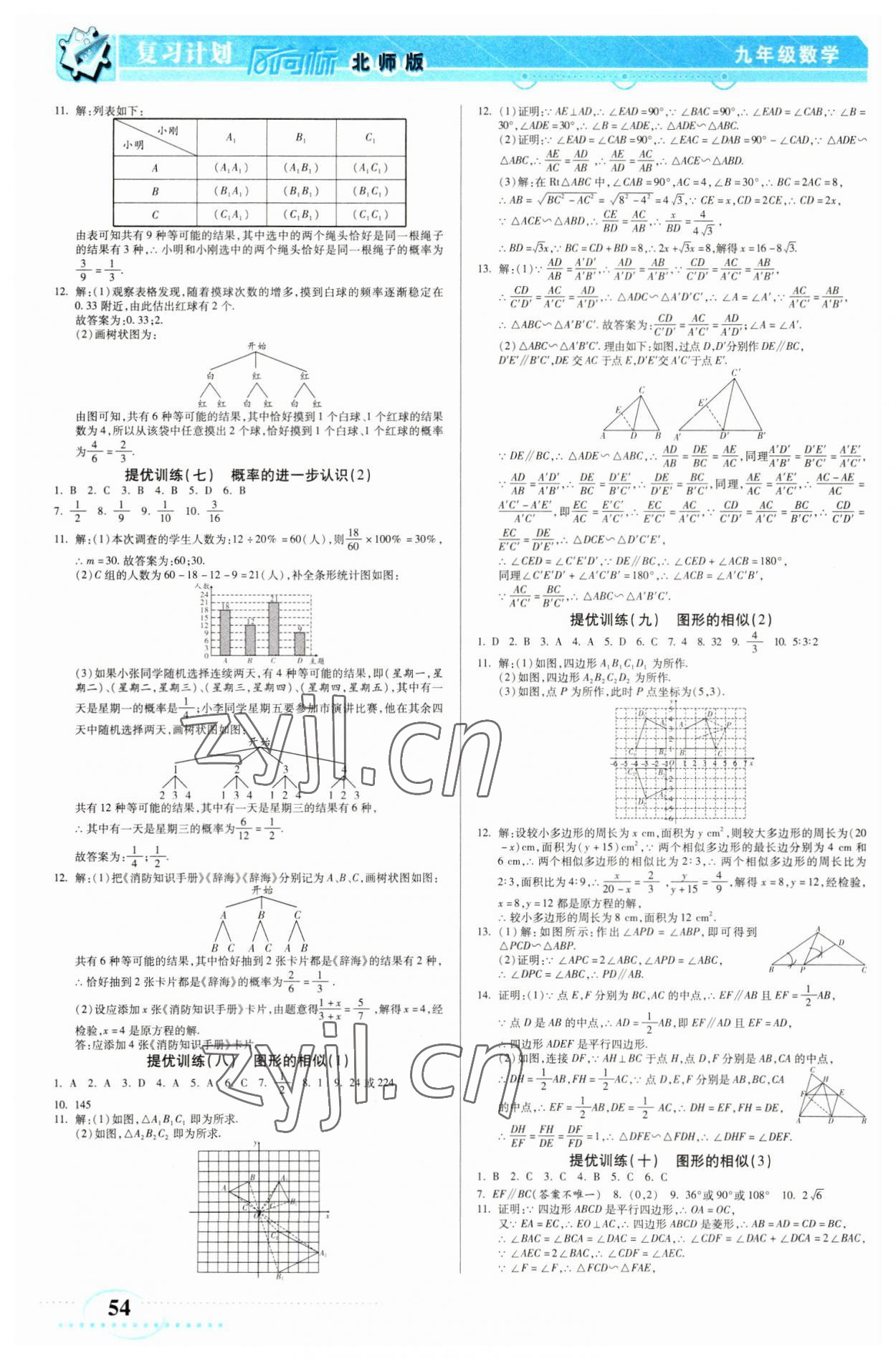 2023年復(fù)習(xí)計(jì)劃風(fēng)向標(biāo)寒九年級(jí)數(shù)學(xué)北師大版 第2頁(yè)