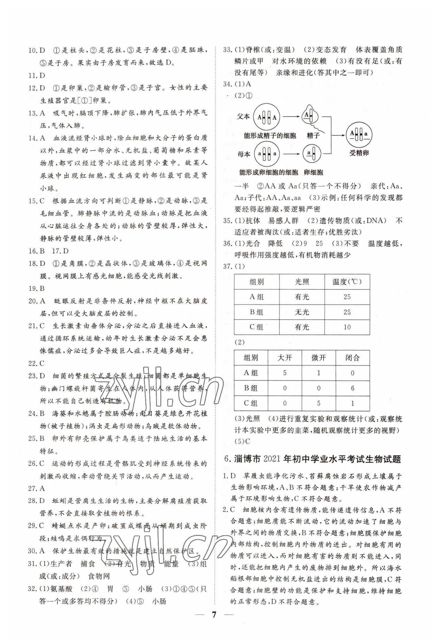 2023年風向標初中學業水平測試山東省各地市中考試題匯編生物 參考答案第7頁