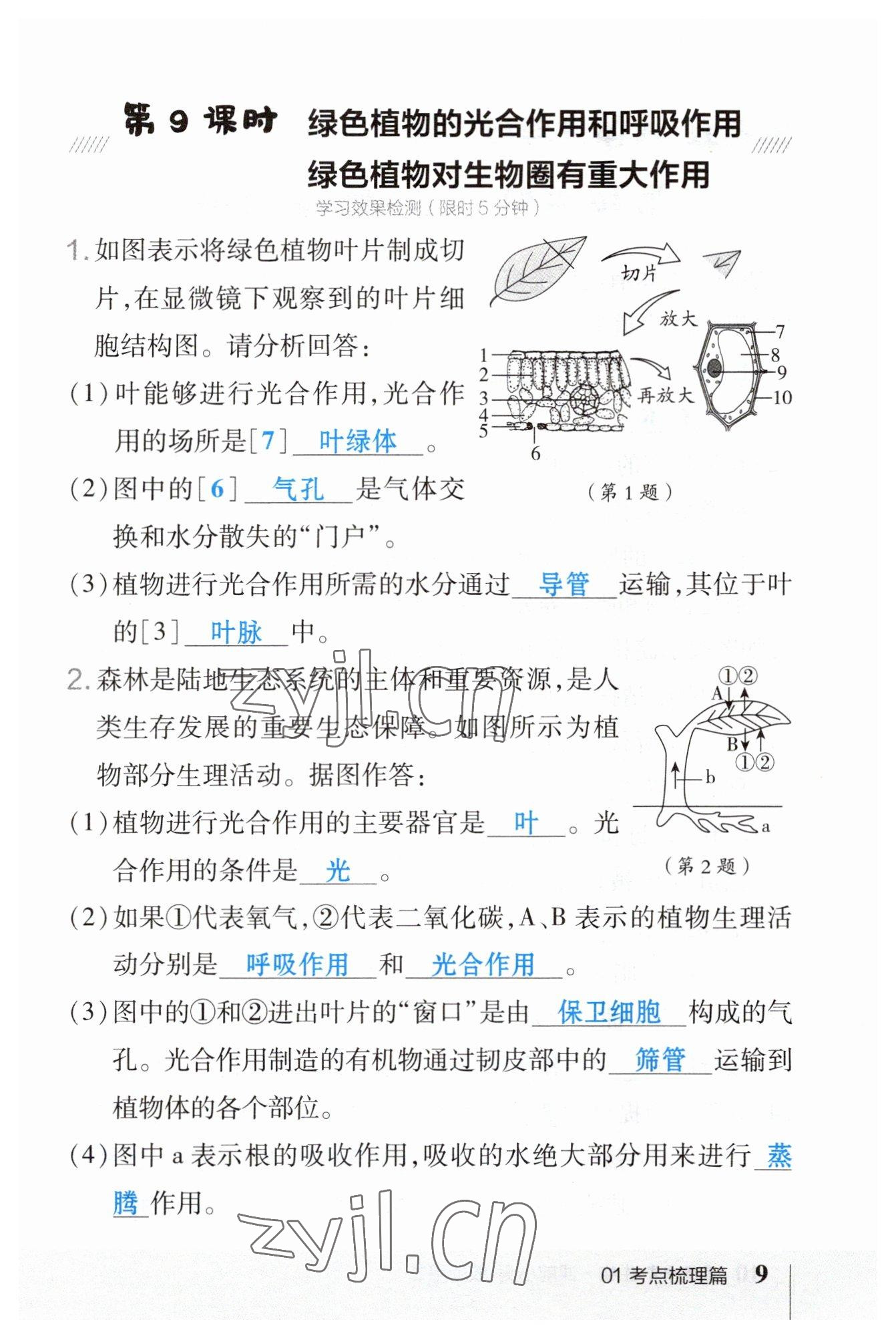 2023年榮德基點撥中考生物福建專版 參考答案第9頁