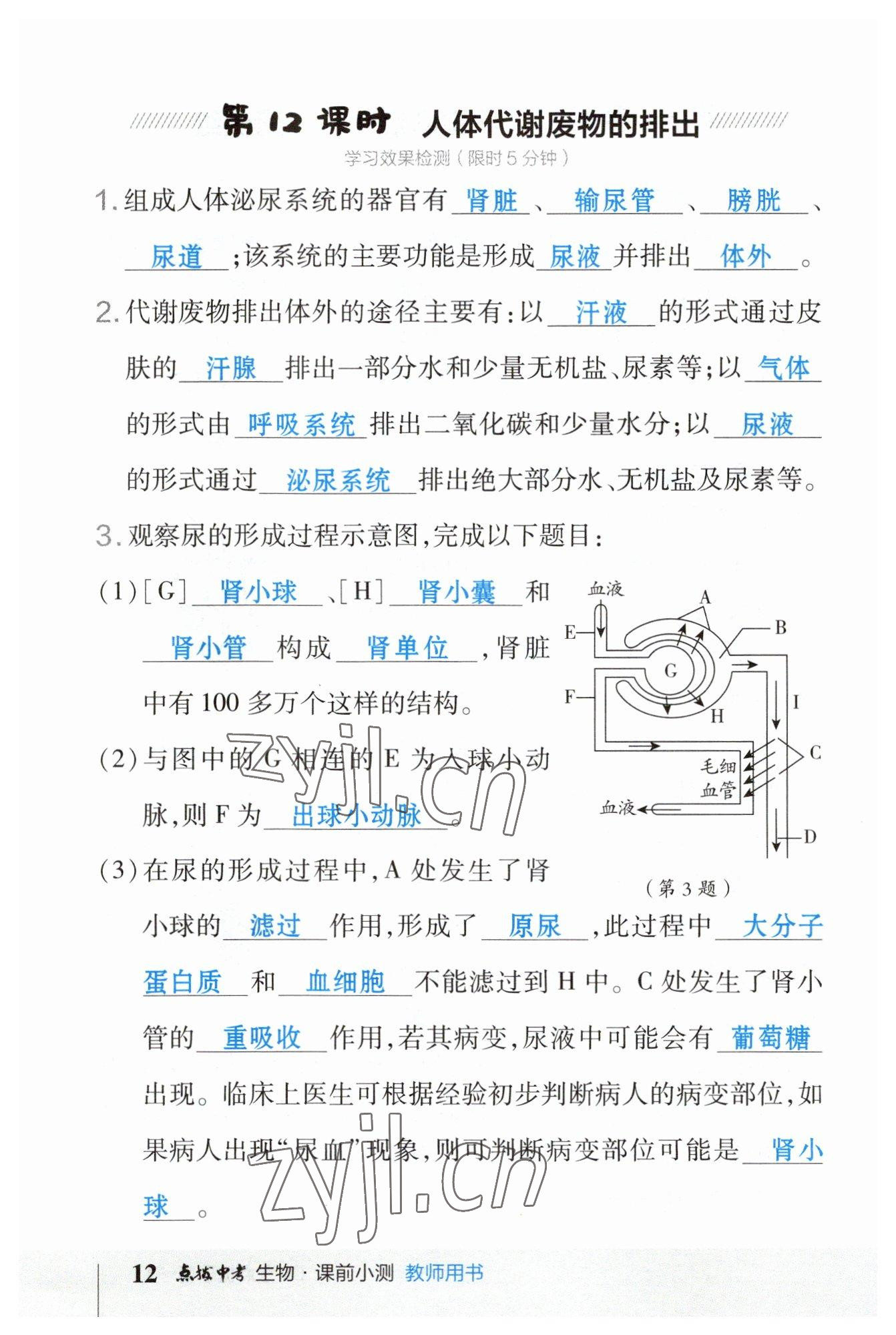 2023年榮德基點(diǎn)撥中考生物福建專版 參考答案第12頁(yè)