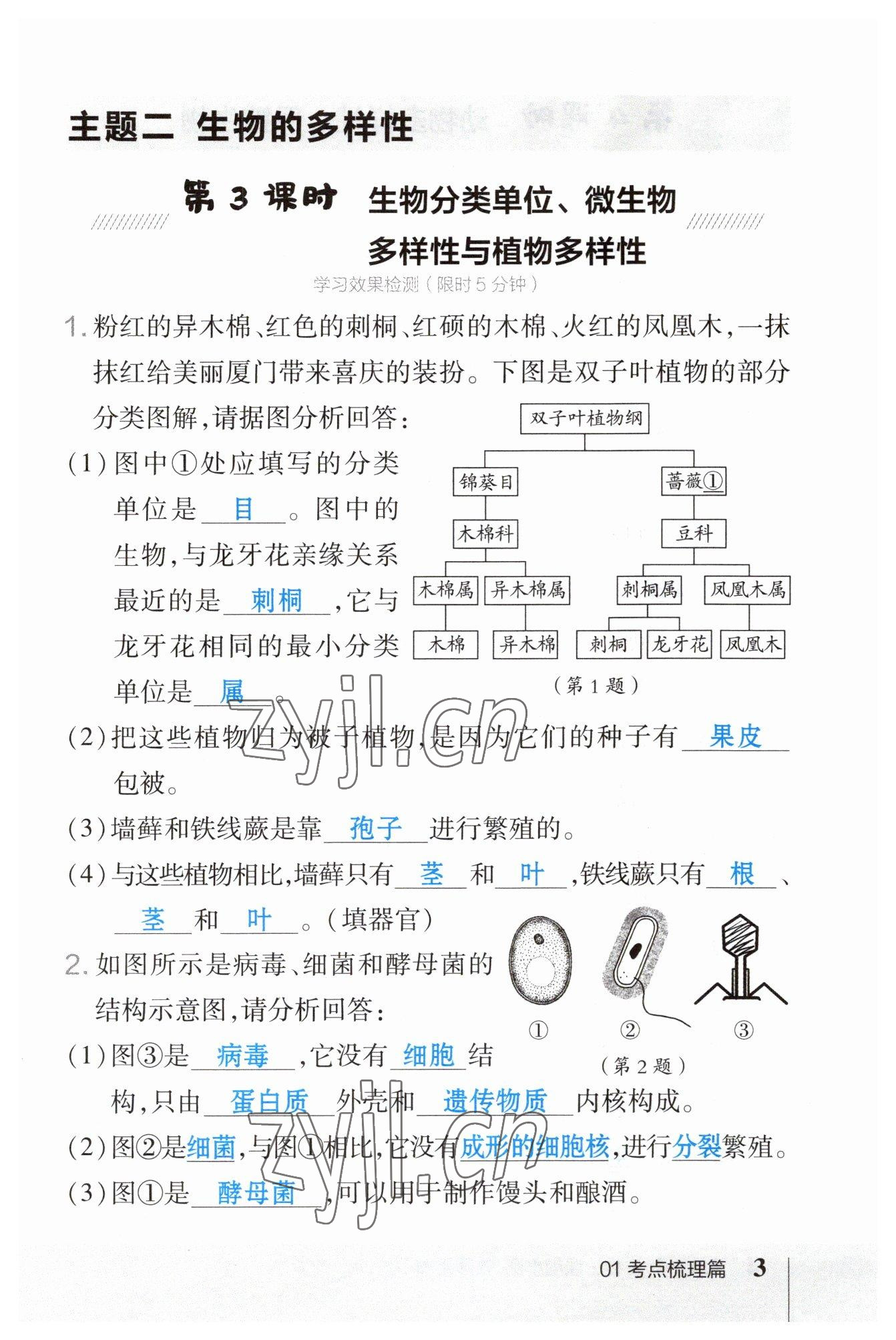 2023年荣德基点拨中考生物福建专版 参考答案第3页