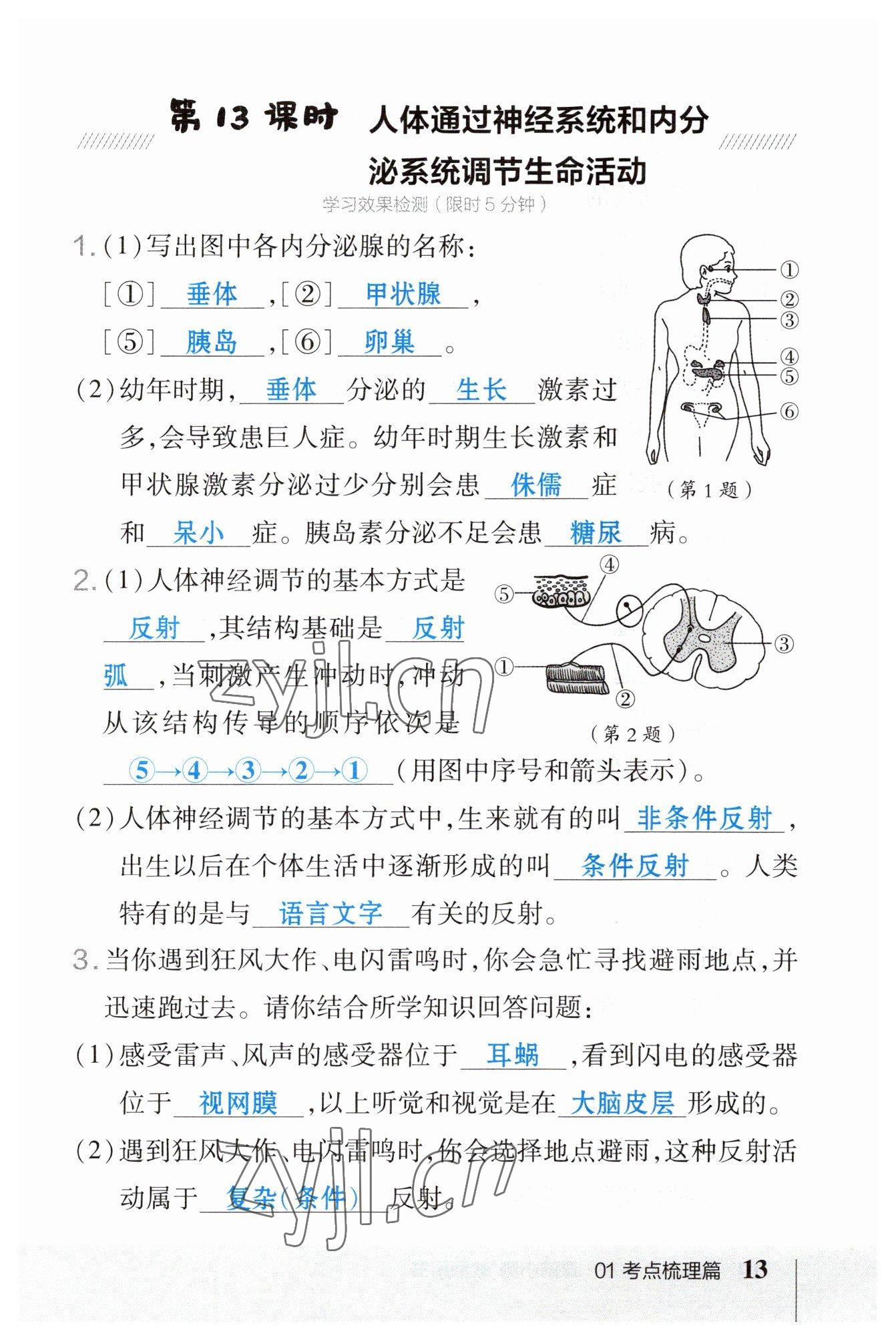 2023年榮德基點撥中考生物福建專版 參考答案第13頁