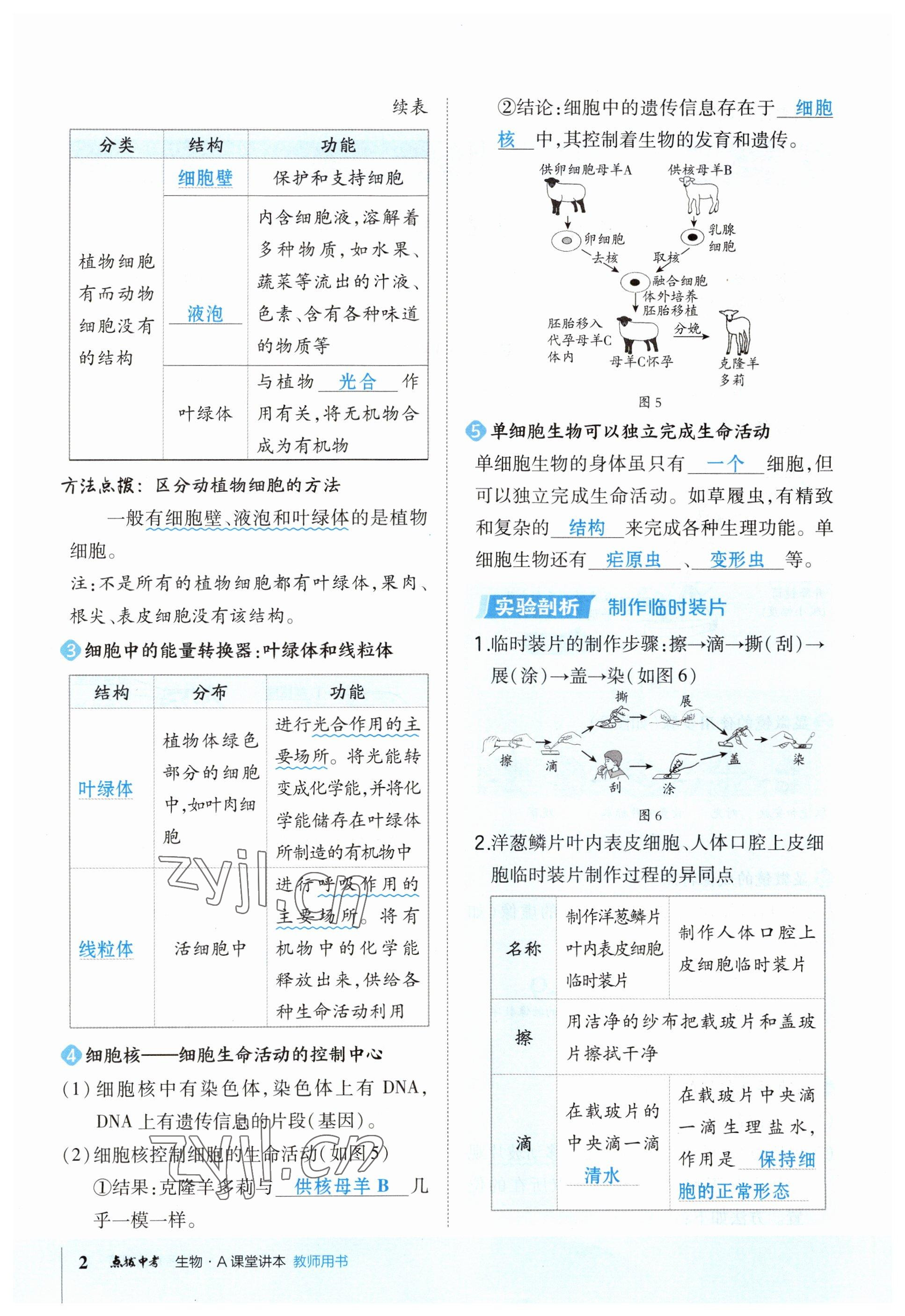 2023年榮德基點(diǎn)撥中考生物福建專版 參考答案第2頁