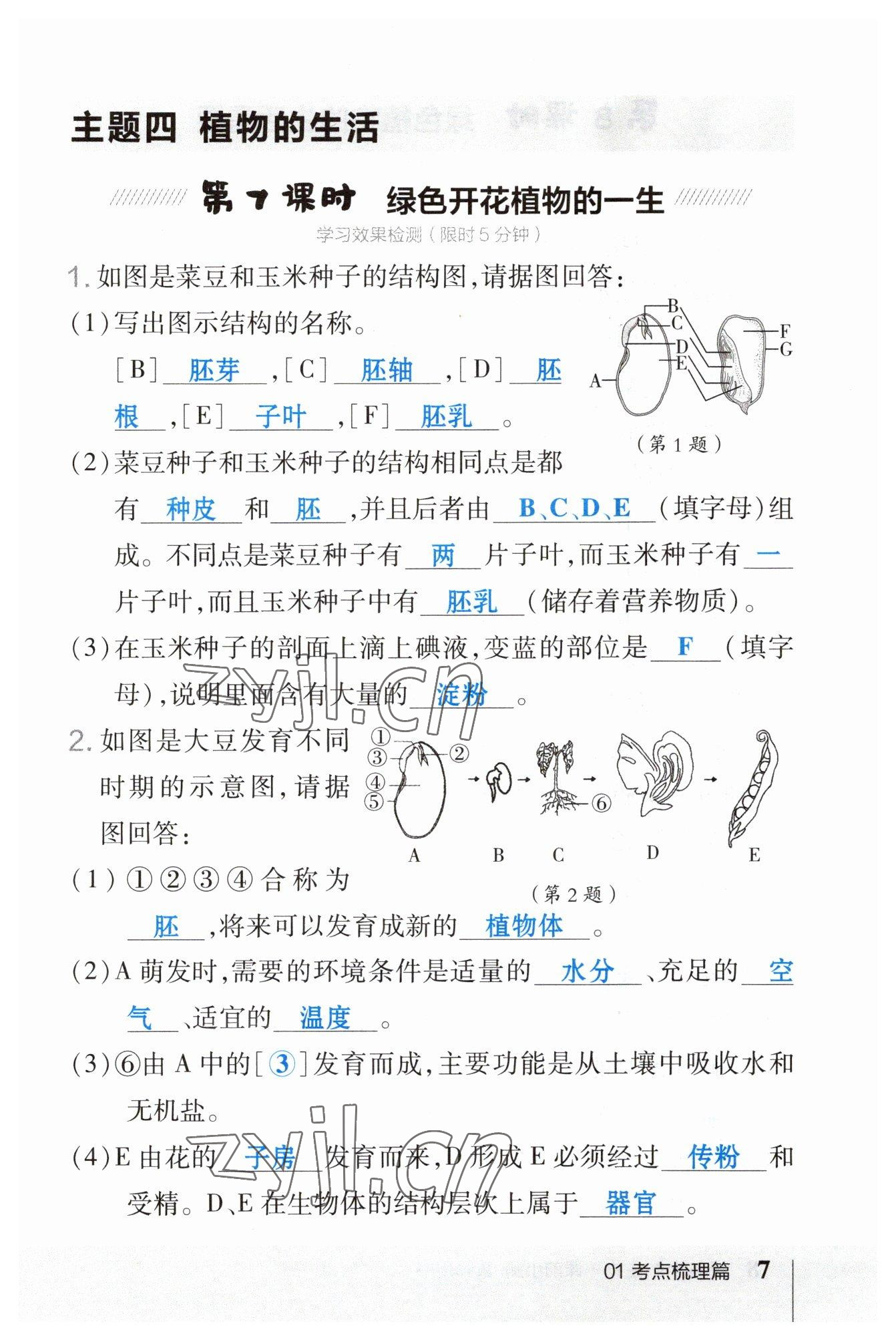 2023年荣德基点拨中考生物福建专版 参考答案第7页