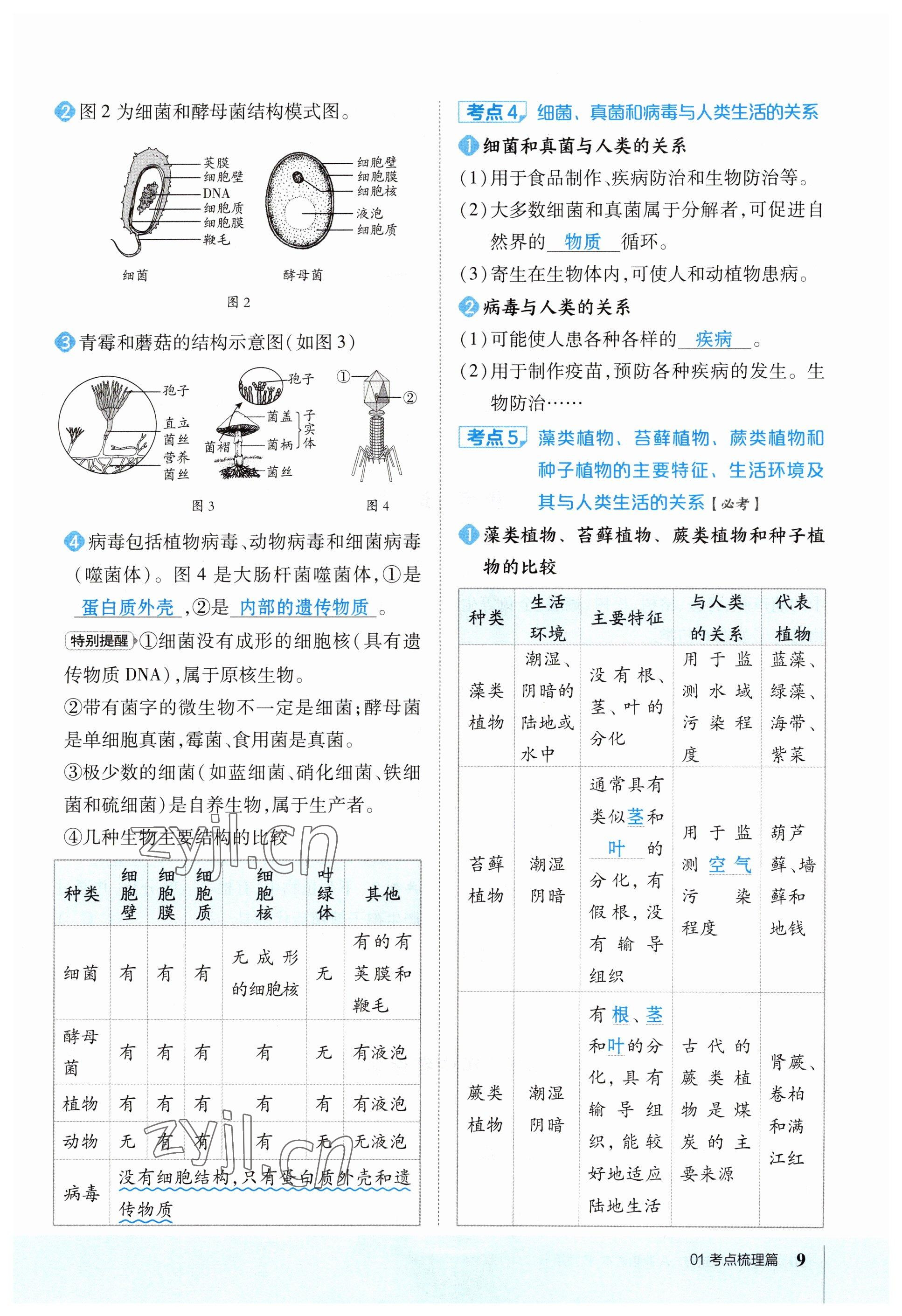 2023年榮德基點(diǎn)撥中考生物福建專版 參考答案第9頁