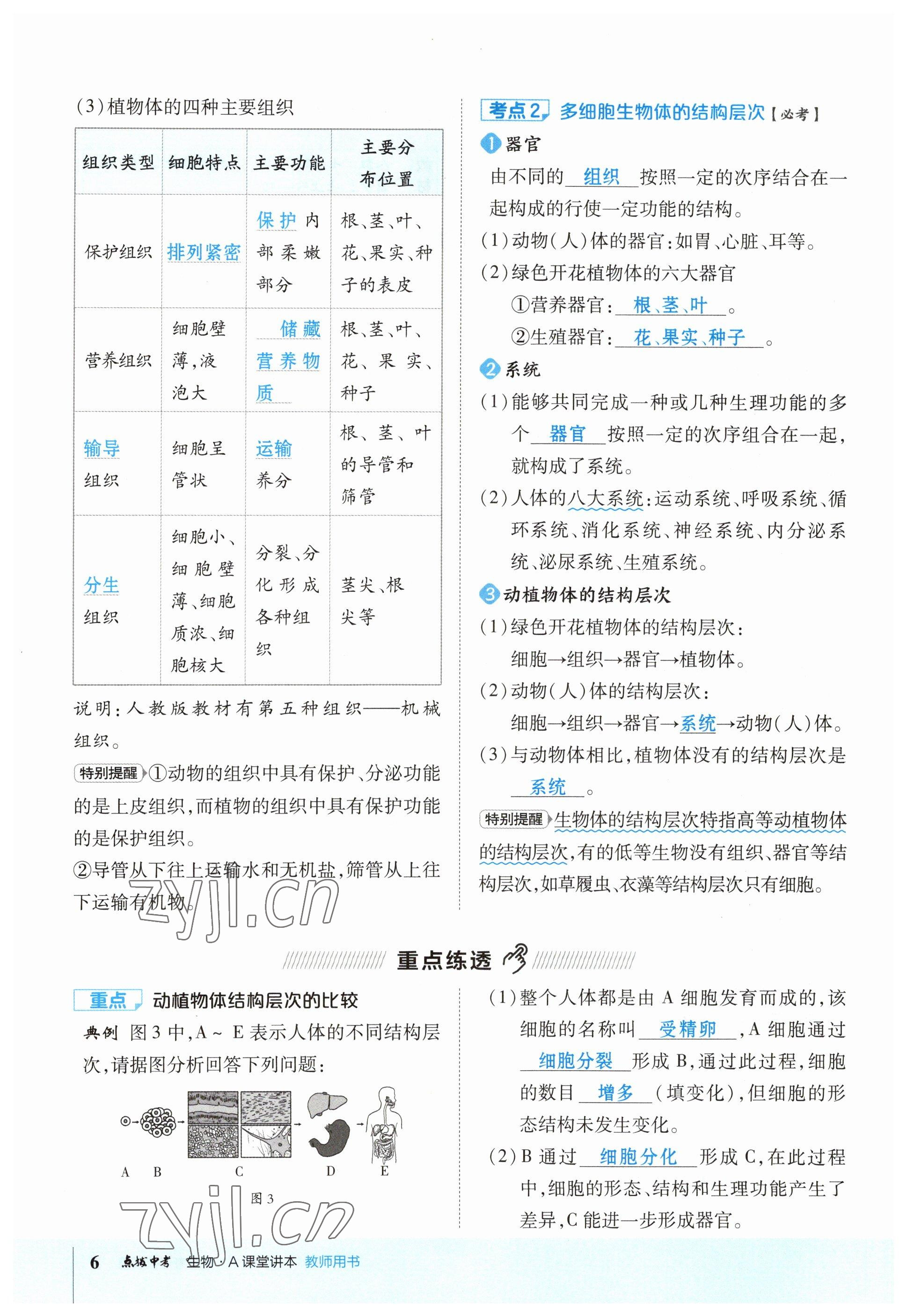 2023年榮德基點(diǎn)撥中考生物福建專版 參考答案第6頁