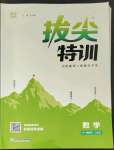 2023年拔尖特訓(xùn)一年級(jí)數(shù)學(xué)下冊(cè)人教版