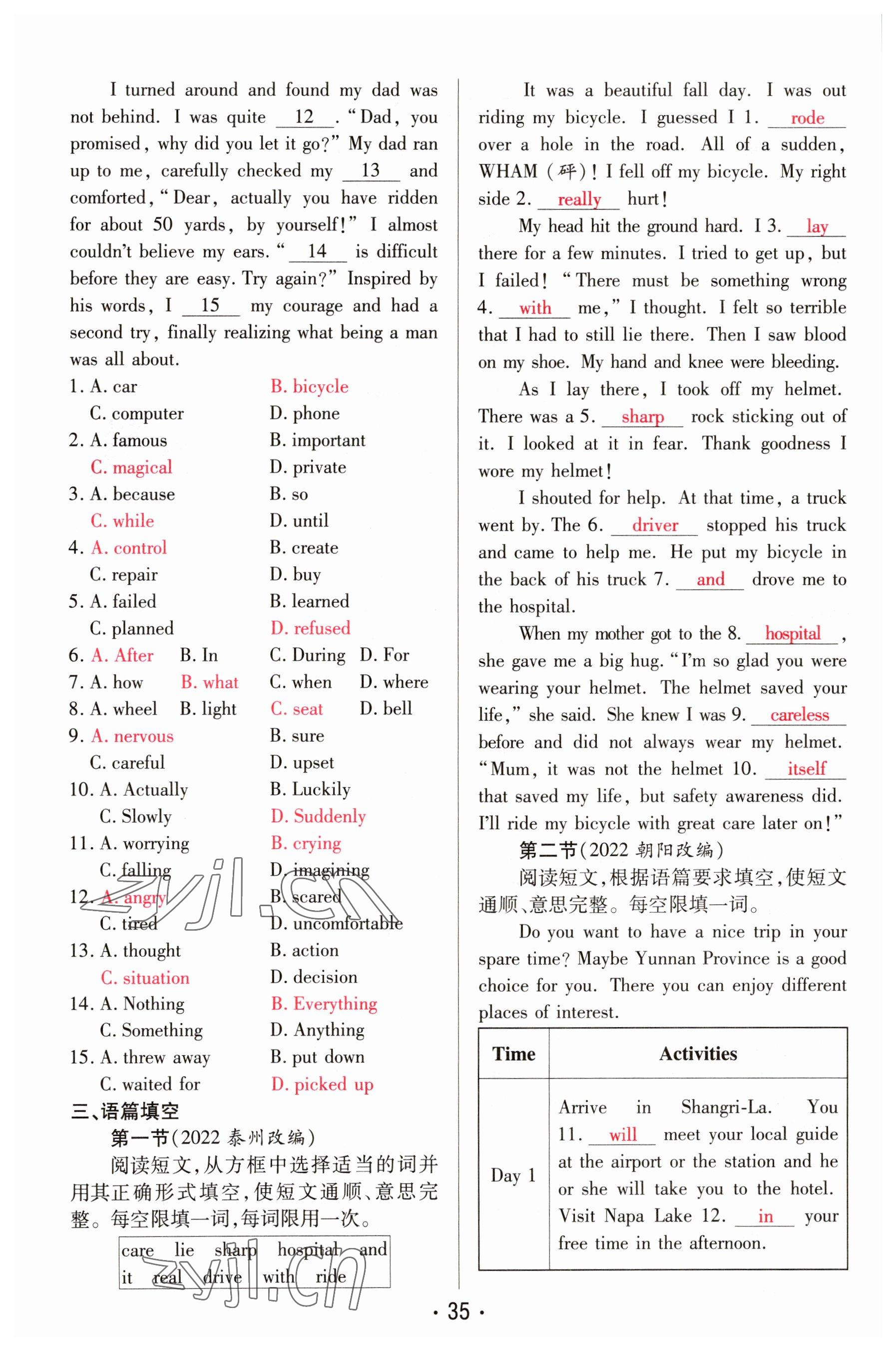 2023年理想中考英语河南专版 参考答案第35页