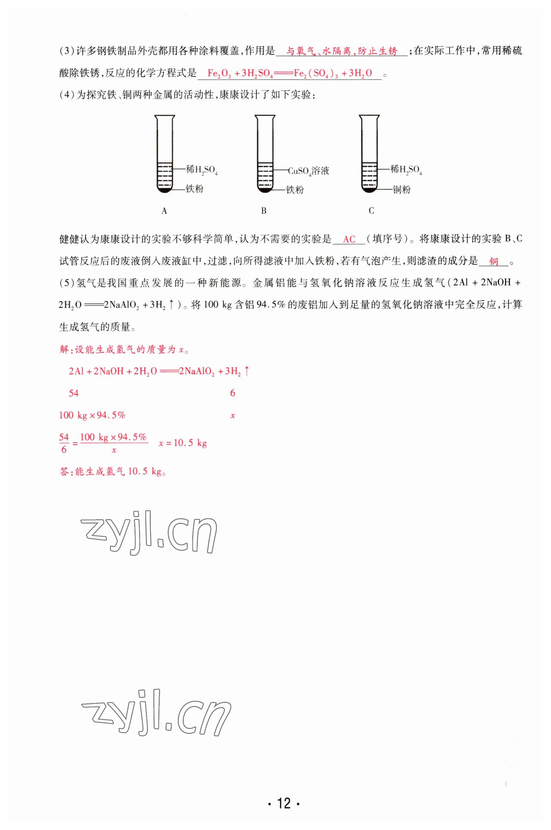 2023年理想中考化学河南专版 参考答案第12页