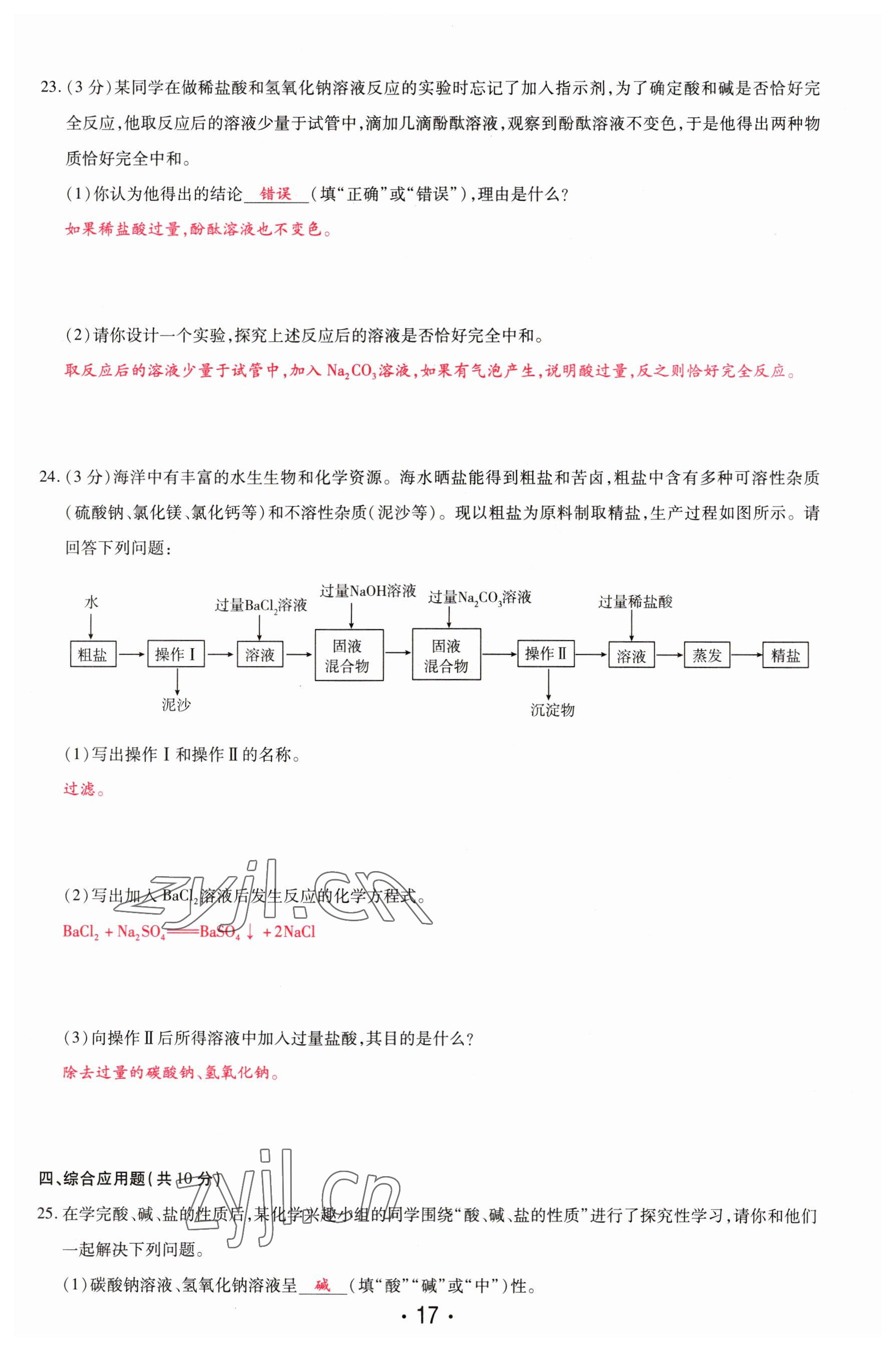 2023年理想中考化學(xué)河南專版 參考答案第17頁