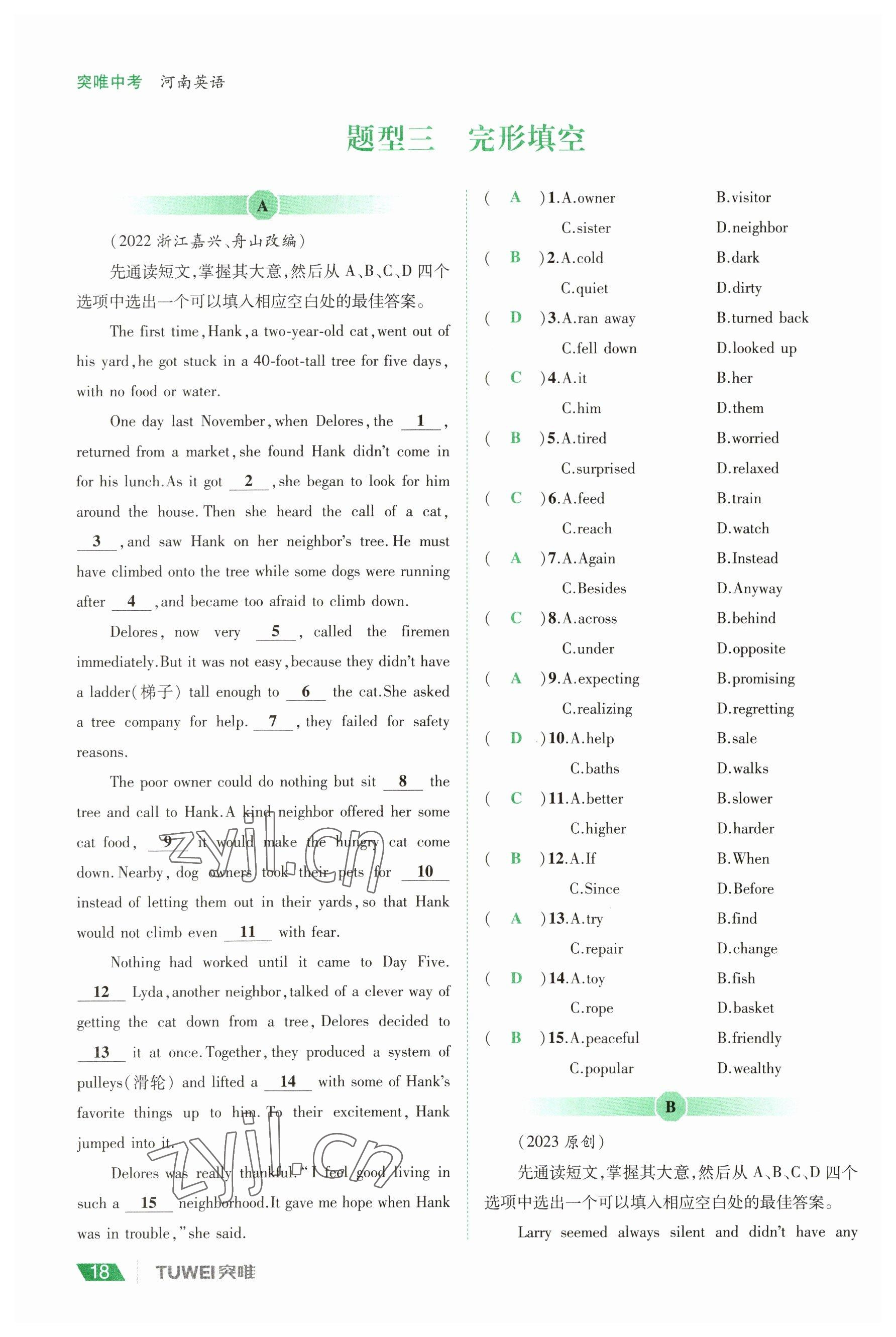 2023年一戰(zhàn)通關(guān)中考總復(fù)習(xí)英語課標版河南專版 參考答案第17頁