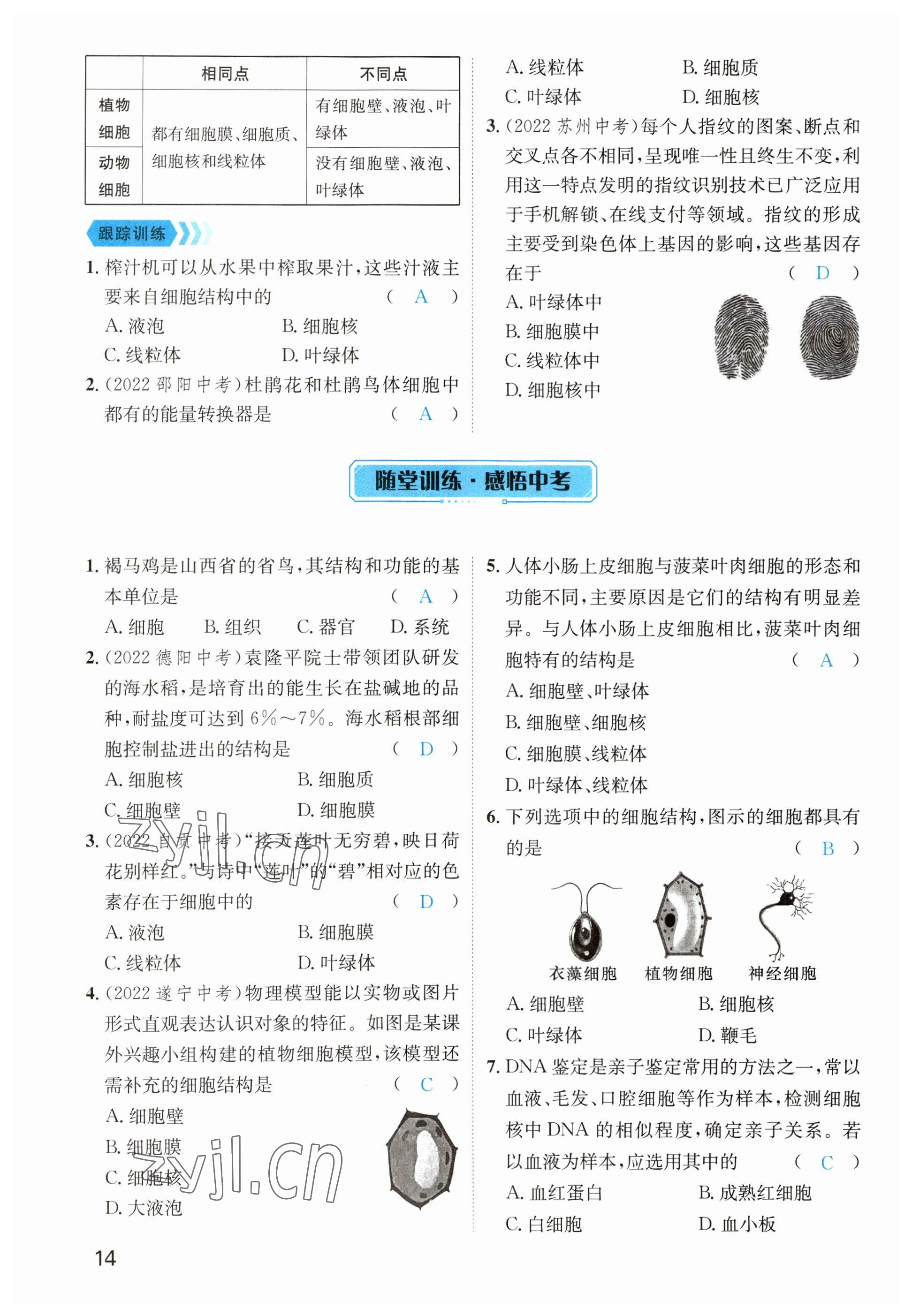 2023年鴻鵠志中考王生物貴陽專版 參考答案第14頁