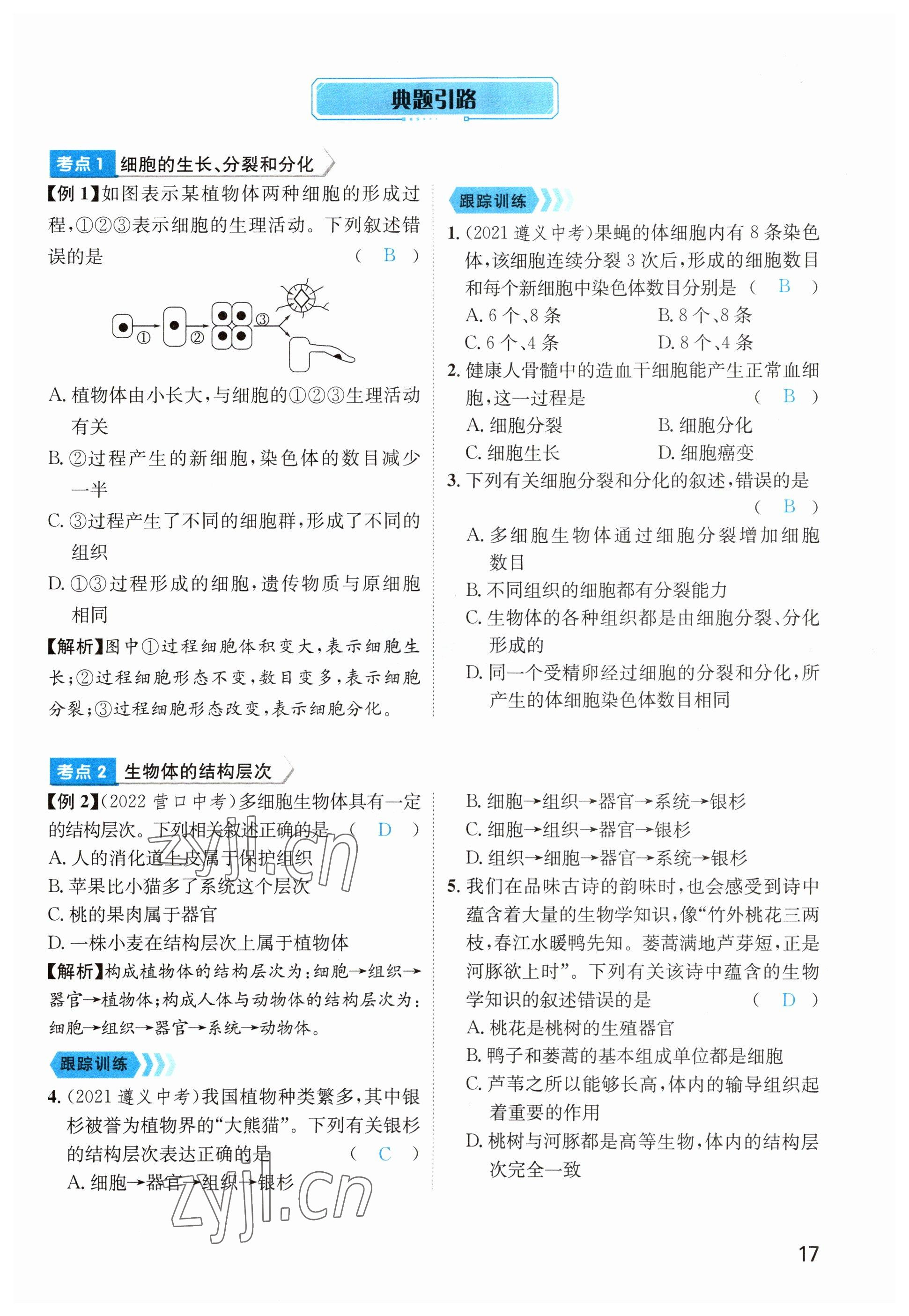 2023年鴻鵠志中考王生物貴陽專版 參考答案第17頁