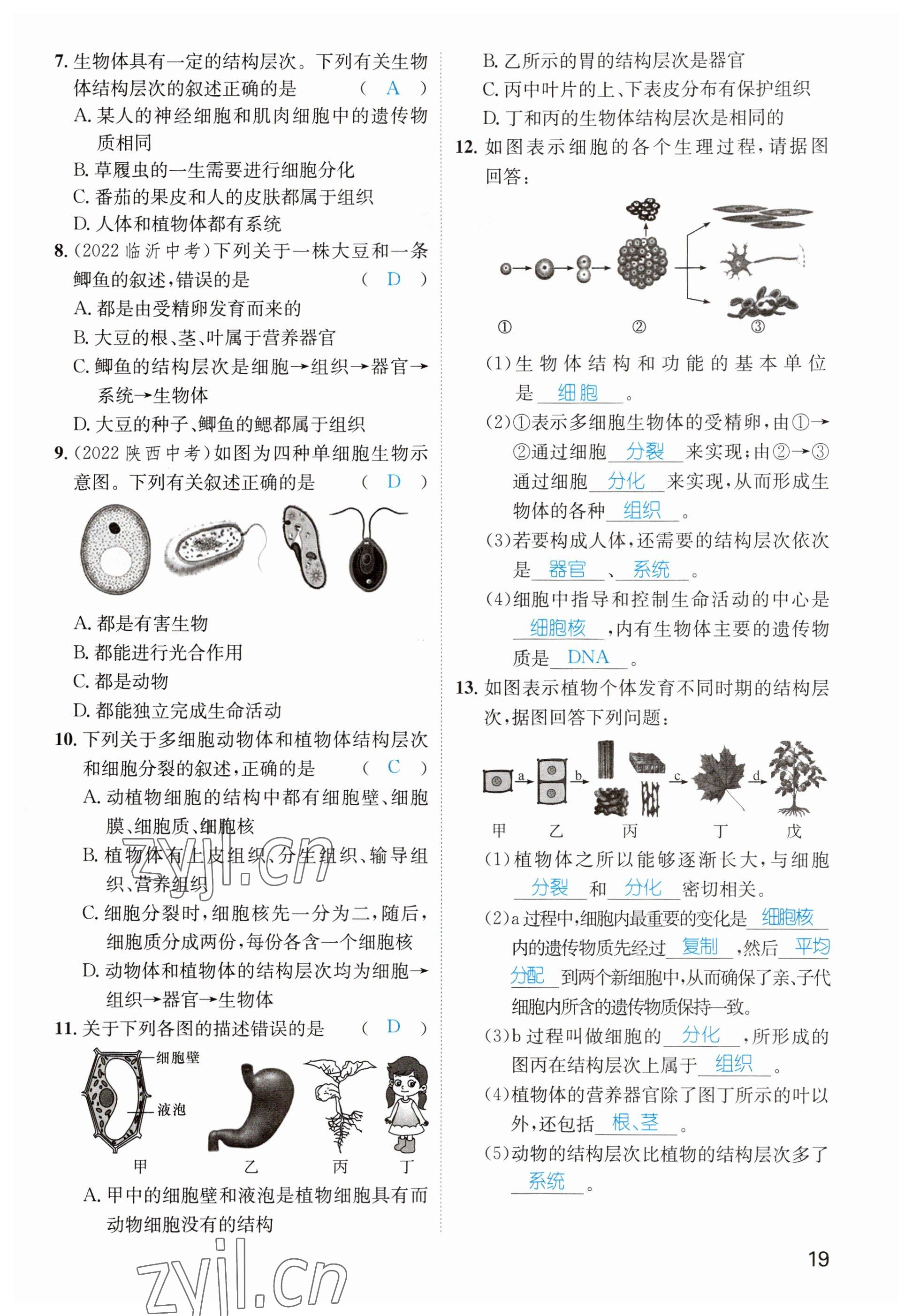 2023年鴻鵠志中考王生物貴陽專版 參考答案第19頁