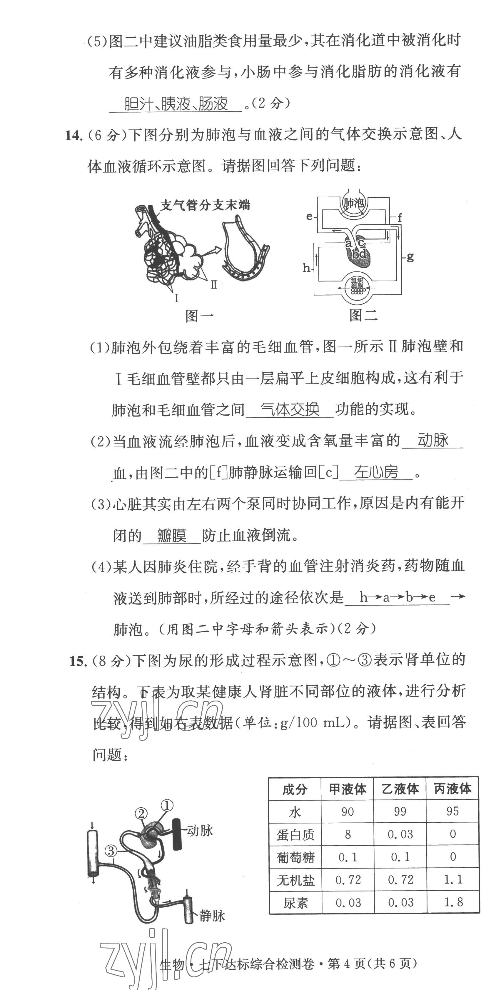 2023年鴻鵠志中考王生物貴陽專版 第4頁